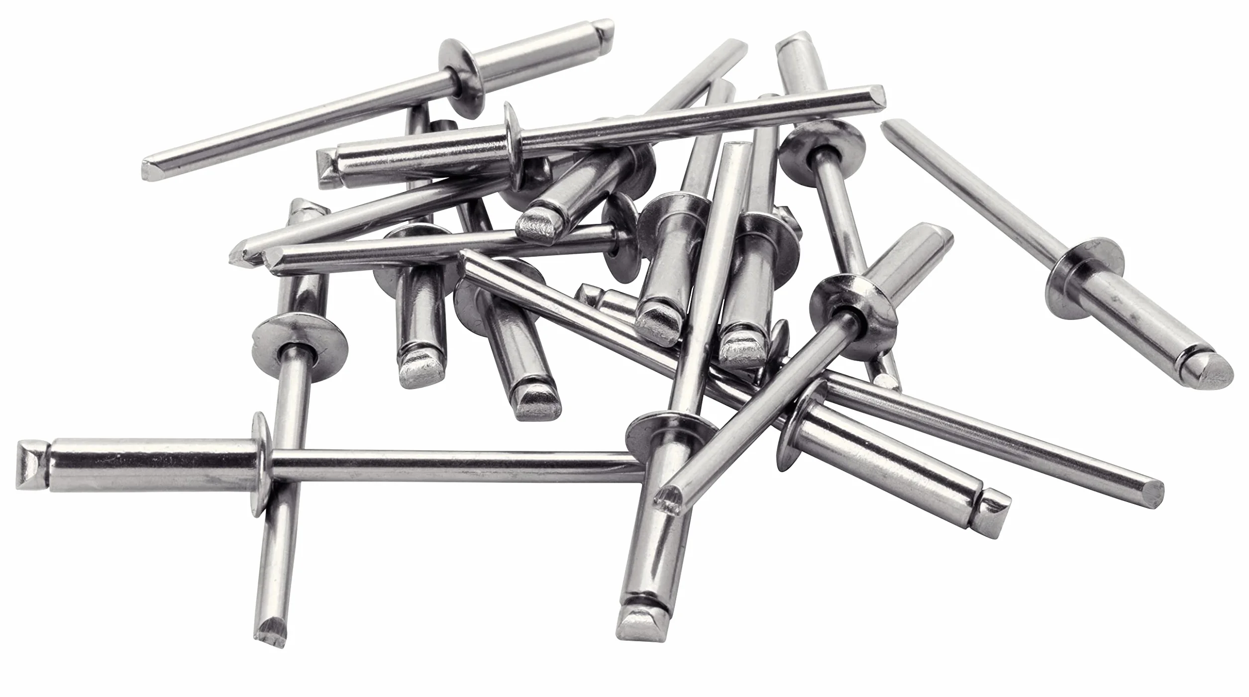 Rivetti in Acciaio Inossidabile Ø4 x 6 mm, 50 Pezzi, Scatola con Punta per Trapano