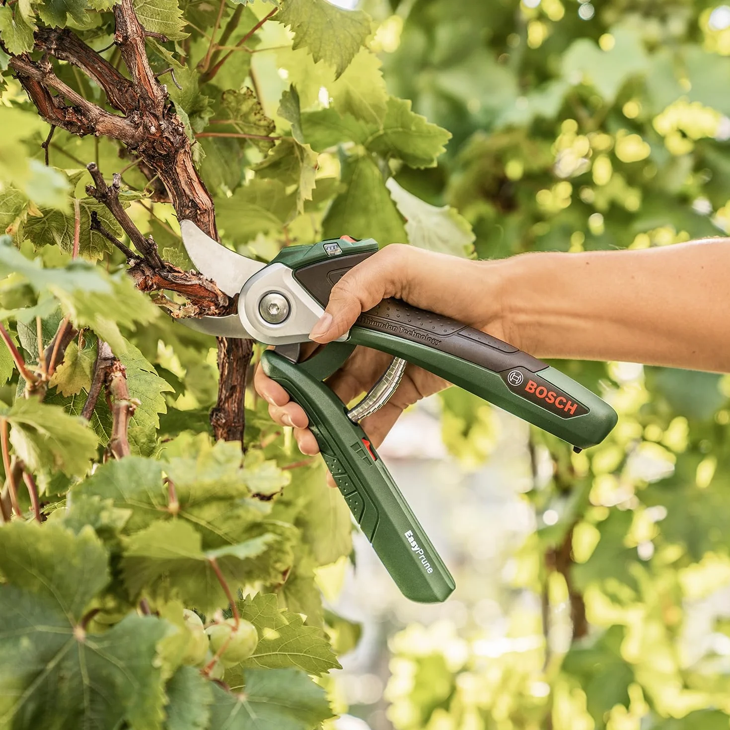 Bosch EasyPrune Nożyce do Przycinania Akumulatorowe 3,6 V 450 Cięć na Ładowanie