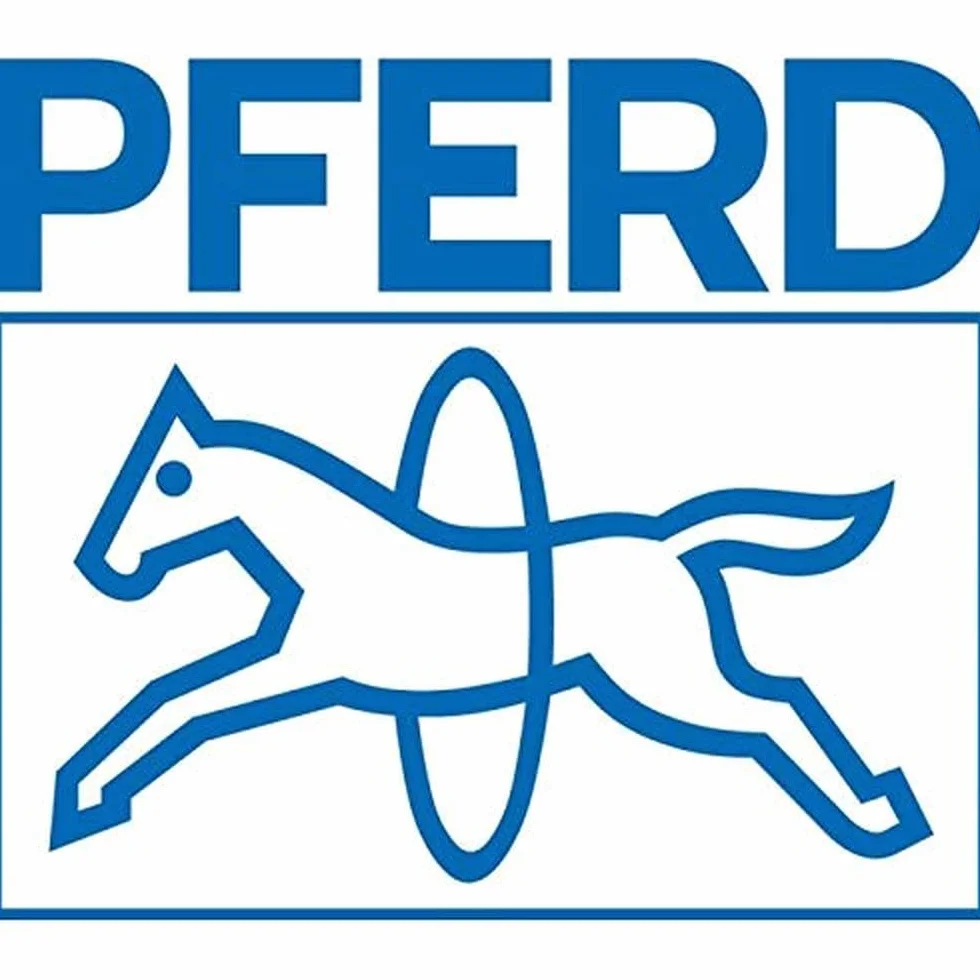 Pferd PF 1132 Feile triangolare 150 mm H3 con maniglia