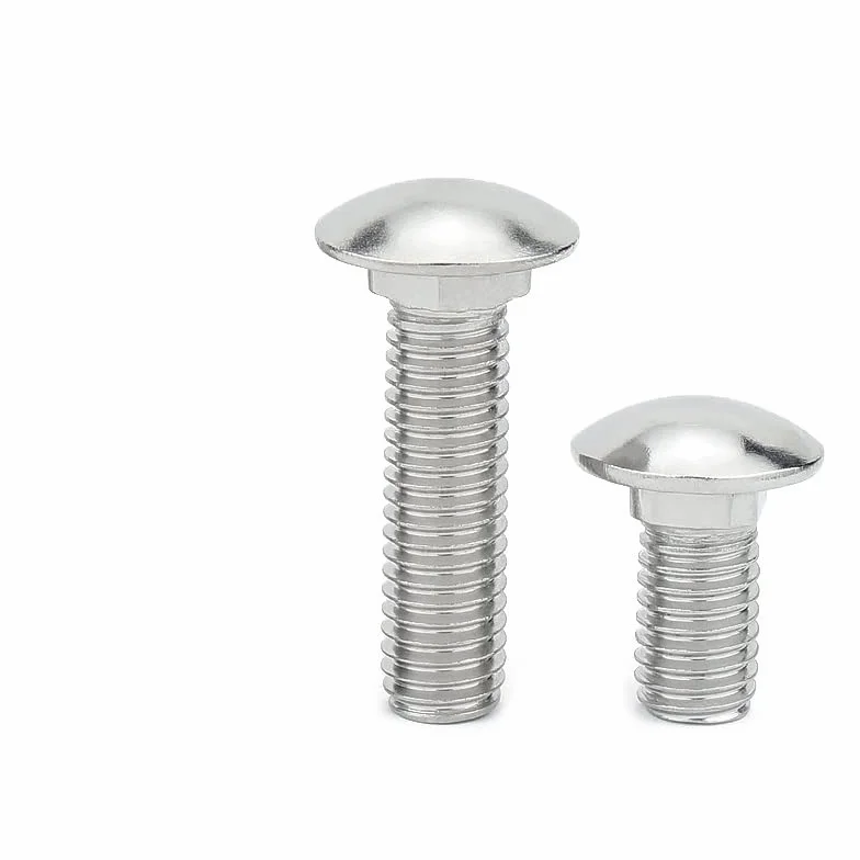 Bullone a Testa Semi-Cerchio Quadrato M8x35 304 Acciaio Inox Vite a Collo Scaffale 2PCS