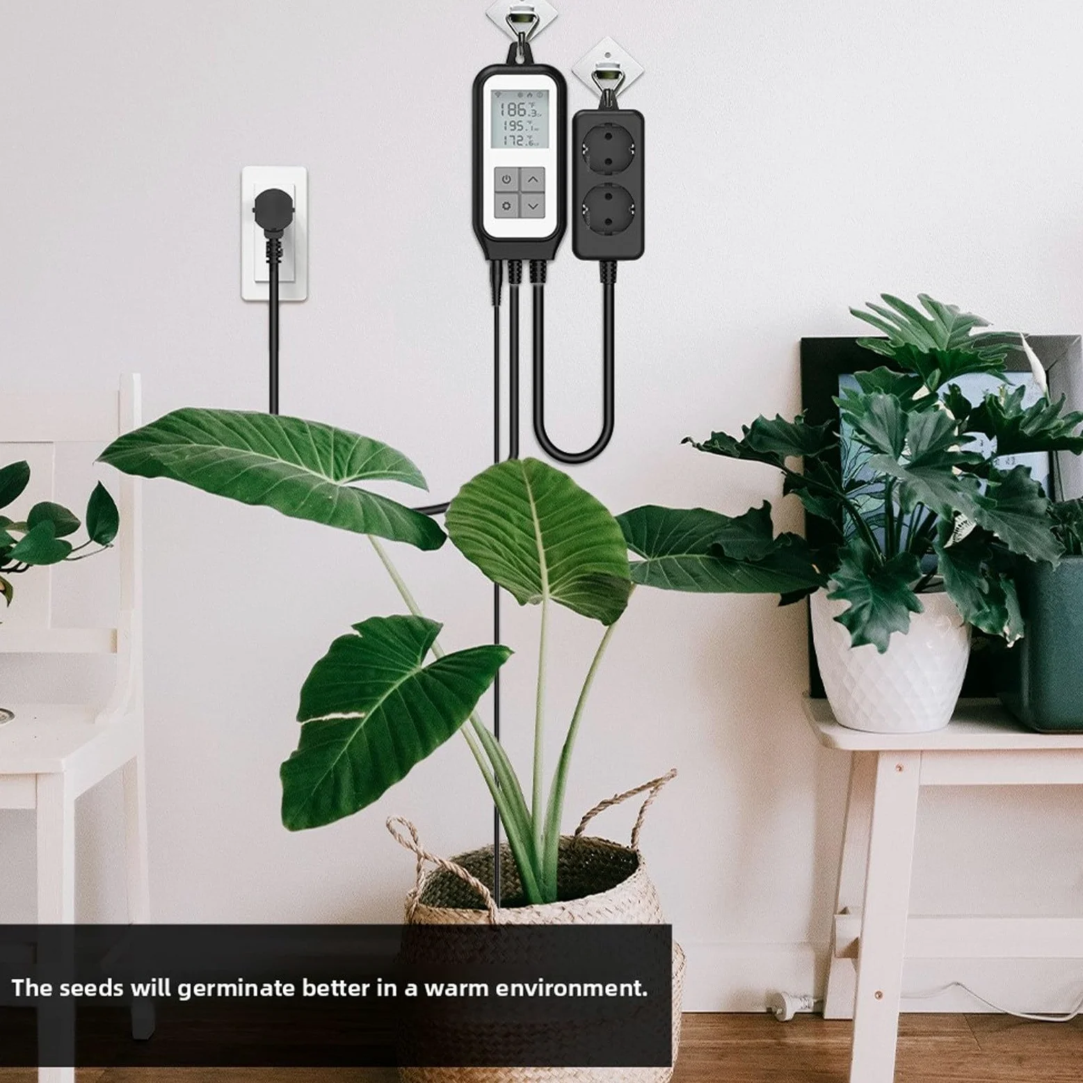 Uscita Termostato Digitale con Telecomando APP e Sonda Impermeabile per Incubazione, Adatta a Condizioni Meteorologiche Estreme (Spina UE 220-250 V)