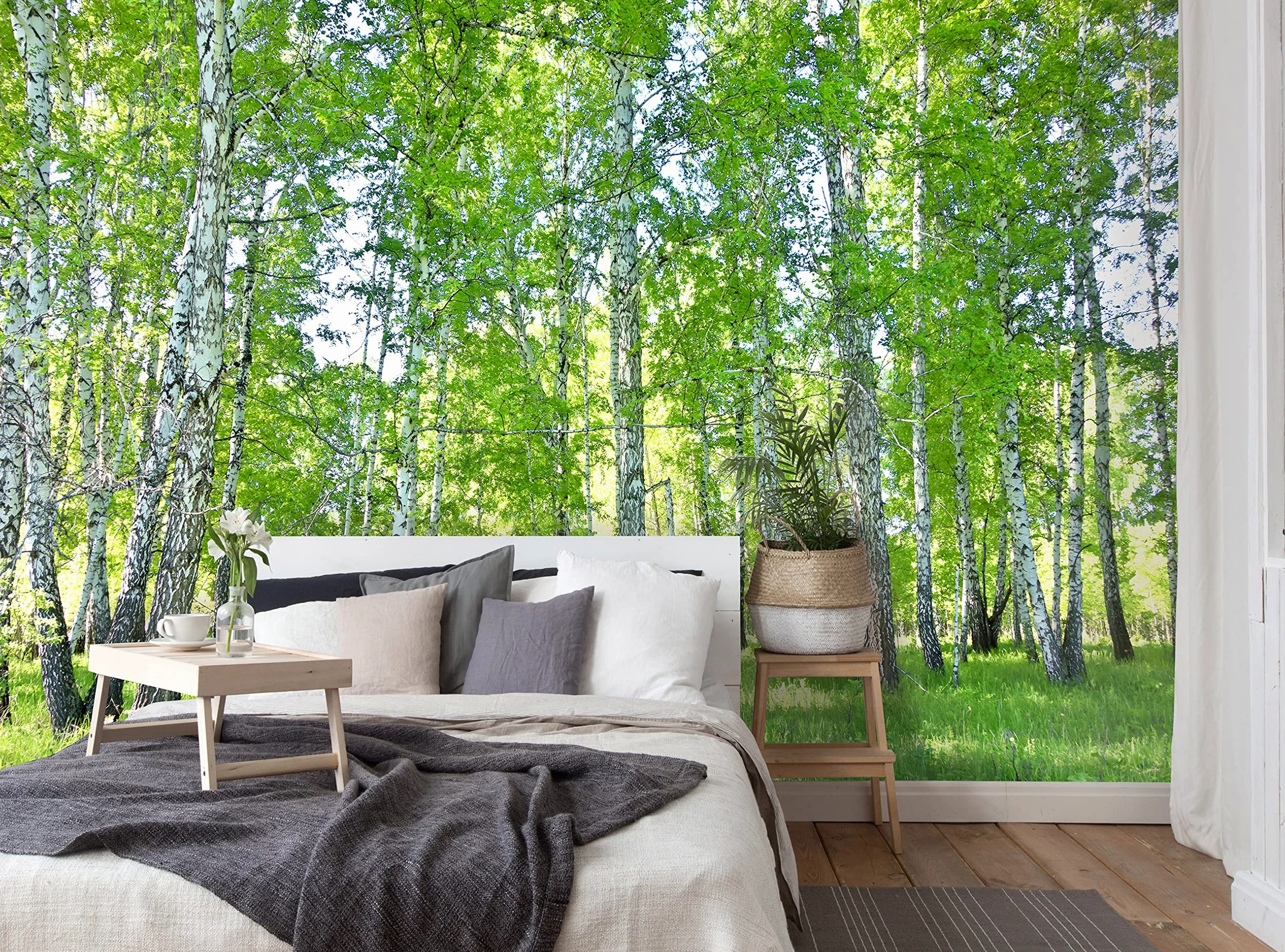Carta Da Parati Fotografica Bosco Di Betulle Foresta Nature Alberi - Include Colla - Moderna Design Carta per Pareti Soggiorno Camera Da Letto Sala Fotomurali In Tessuto Non Tessuto TNT (416x254 cm) | Carta da parati in tessuto non tessuto di alta qualità