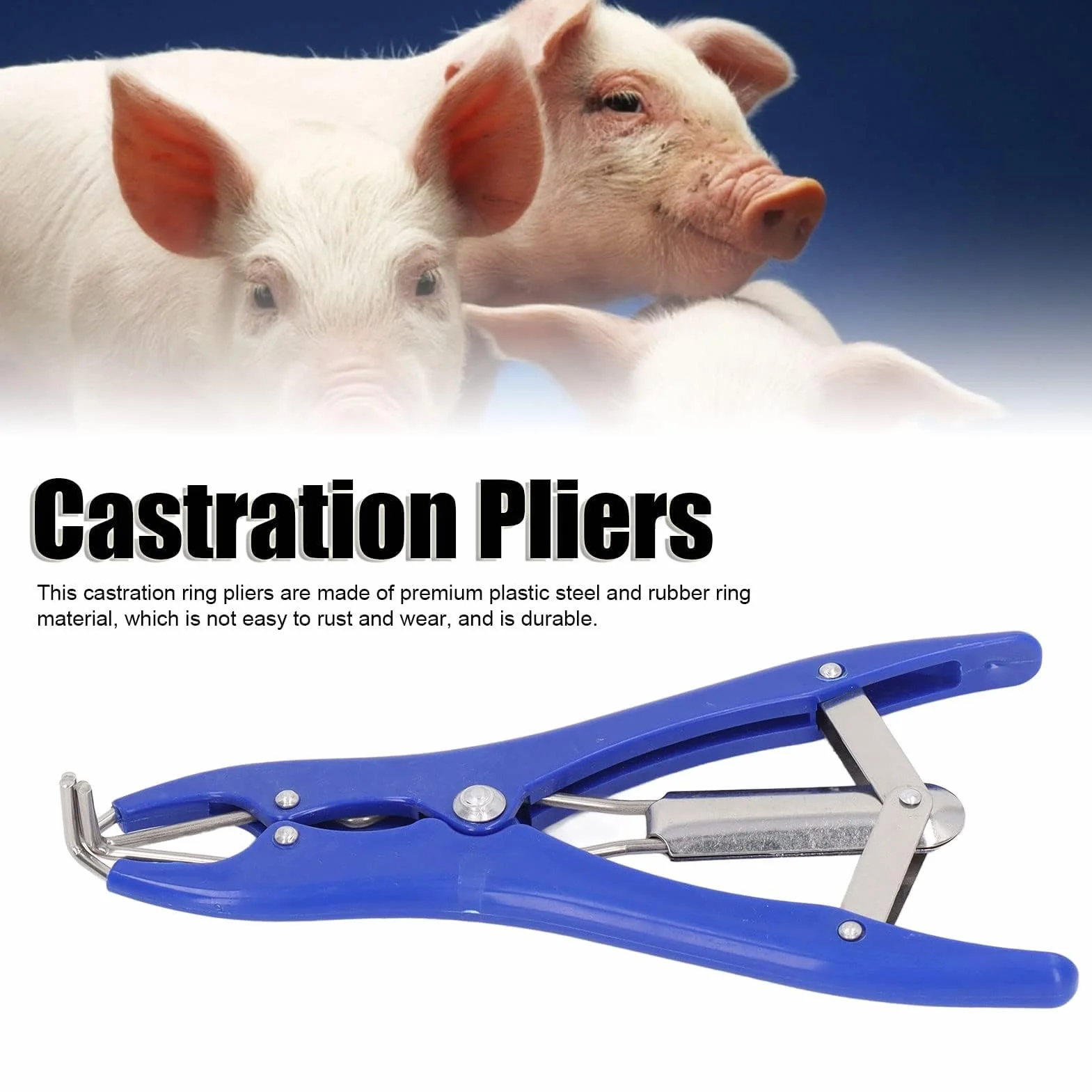 Kit Professionale per Castrazione 1 Pinza Elastrator in Plastica Durevole 100 Anelli Elastici di Gomma Rossa per Ovini Caprini Suinetti