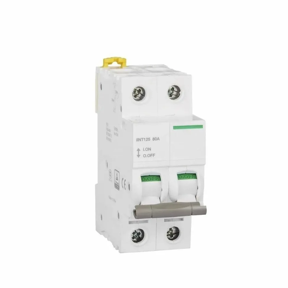 Interruttore Magnetotermico Tipo C 2P 32A, 63A, 80A, 100A, Interruttore Elettrico Miniaturizzato Magnetico Termico 125A 400VAC 50HZ 6KA(80A)