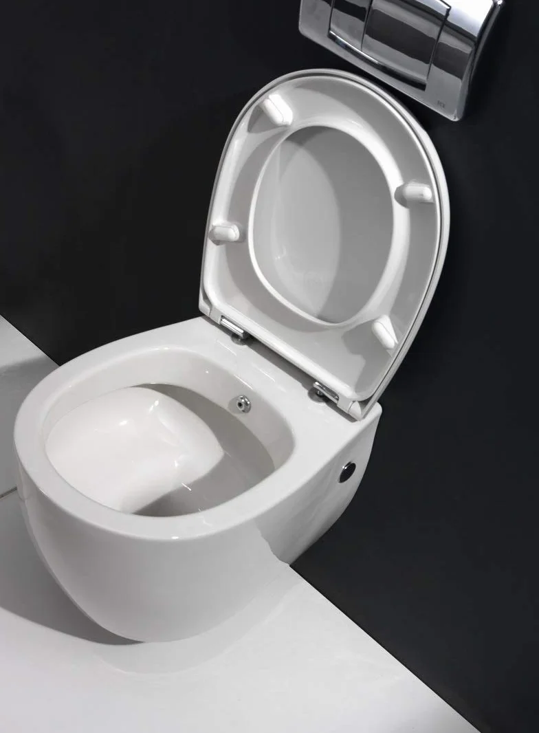 Aqua Bagno WC Taharet sospeso con funzione bidet e sciacquone profondo, ceramica, Soft Close