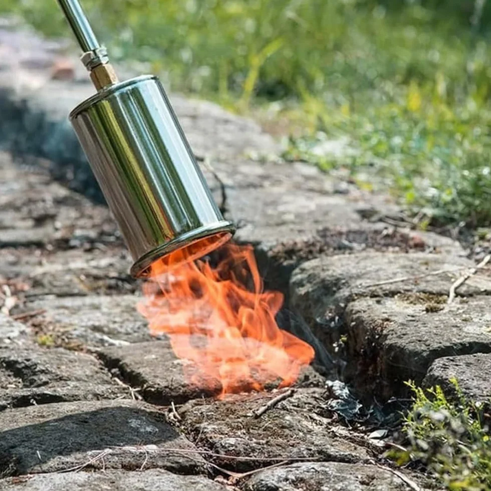Bruciatore a Gas 35Kw 60 cm per Saldature a Leva Pistola per Asfalto Sverniciatura