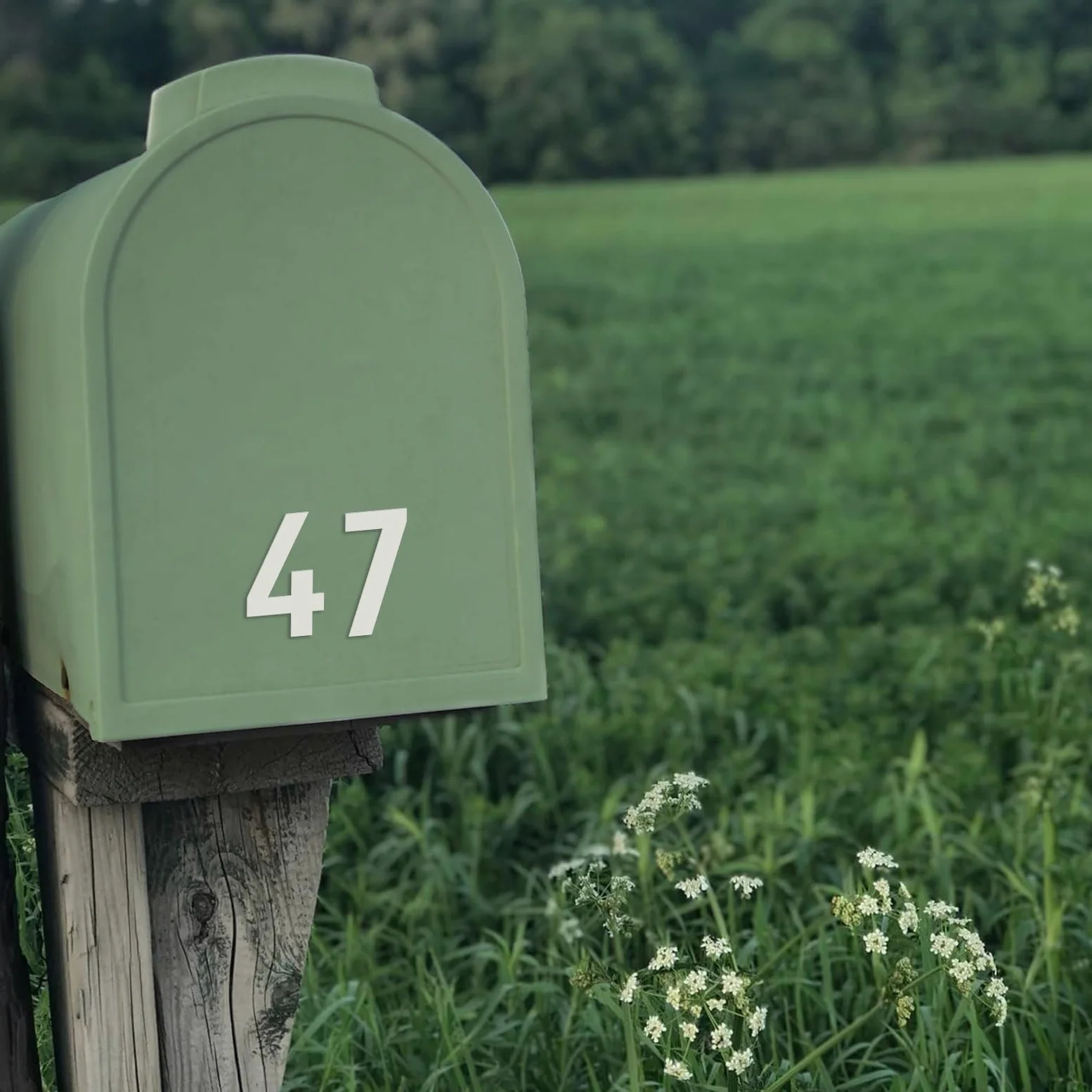 Numeri civici in metallo, 5,1 cm, in metallo, stile moderno, per porta del giardino, per appartamenti, esterni, fattoria, lettere decorative con kit per chiodi, segnaletica per visibilità (bianco)