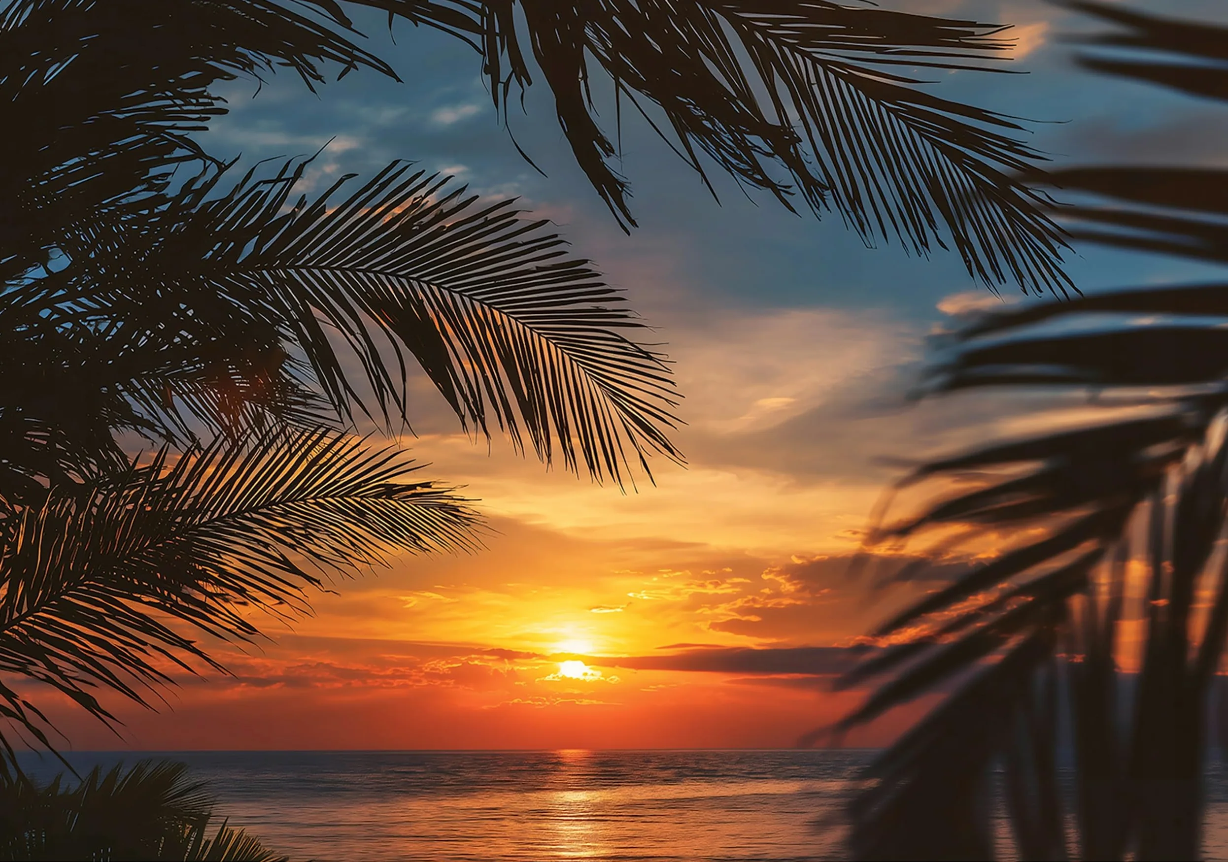 WallArena - Carta da parati fotografica - mare 300x210 cm - Murale fotografico - Per soggiorno e camera da letto - Effetto 3D - con Colla - spiaggia tramonto foglie natura