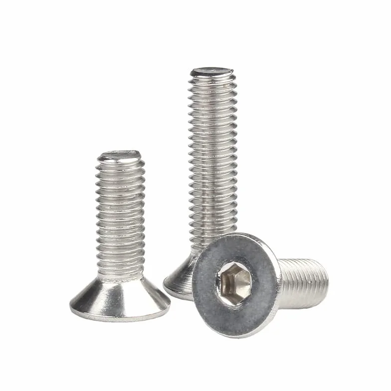 Bulloni a testa svasata M10 x 70mm Acciaio inossidabile 304 2 Pcs