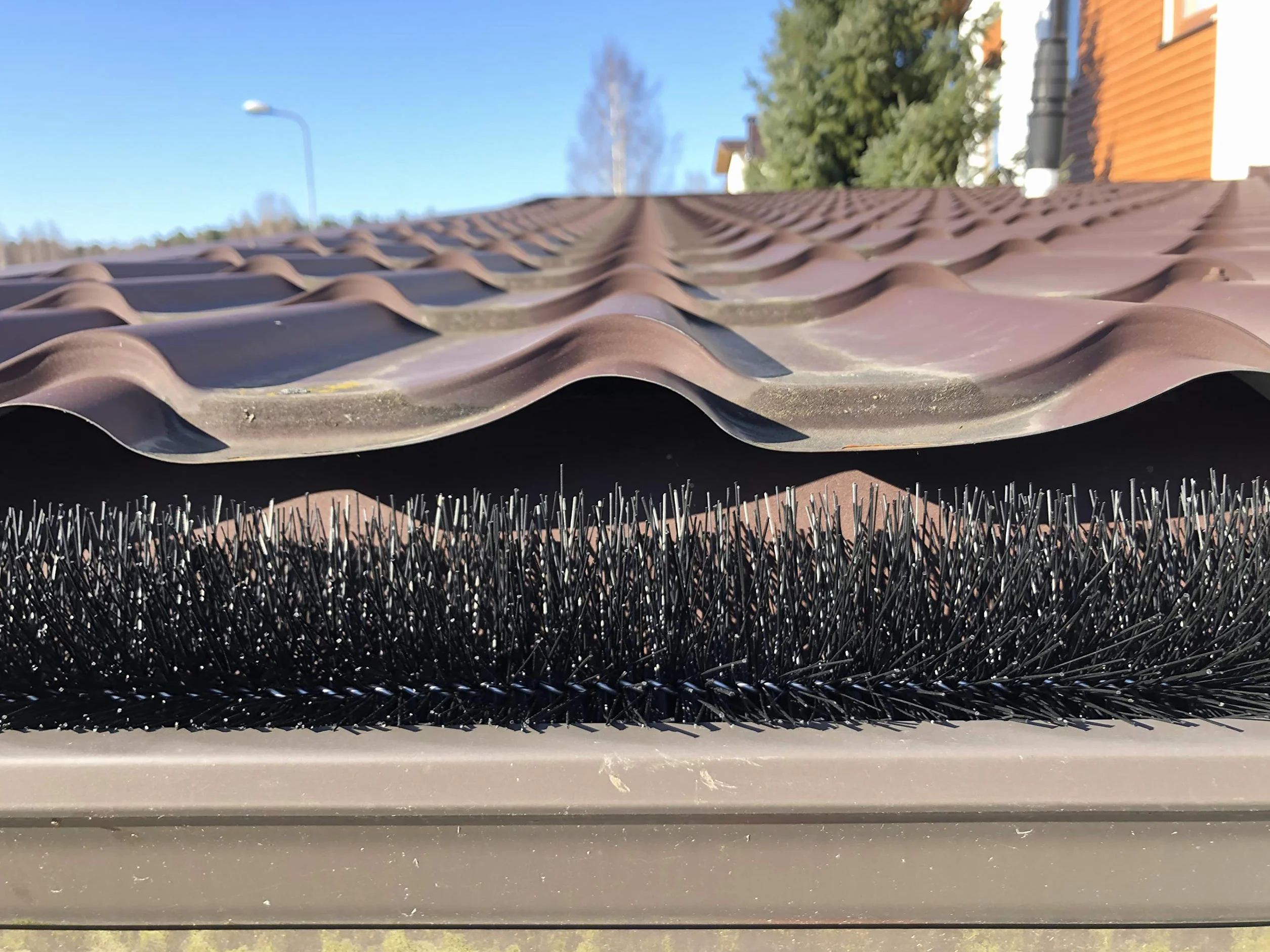 Spazzole per Grondaia e Pannelli Solari Ø8 cm, 20m (5x4 m) | Resistente ai Raggi UV | Protezione da Foglie e Martore | Installazione Semplice
