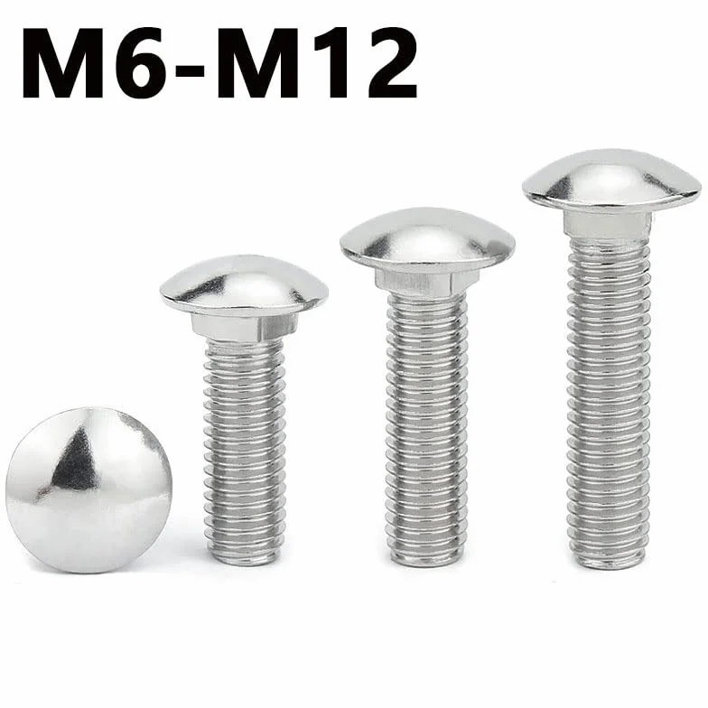 Bullone a Testa Semi-Cerchio Quadrato M8x35 304 Acciaio Inox Vite a Collo Scaffale 2PCS
