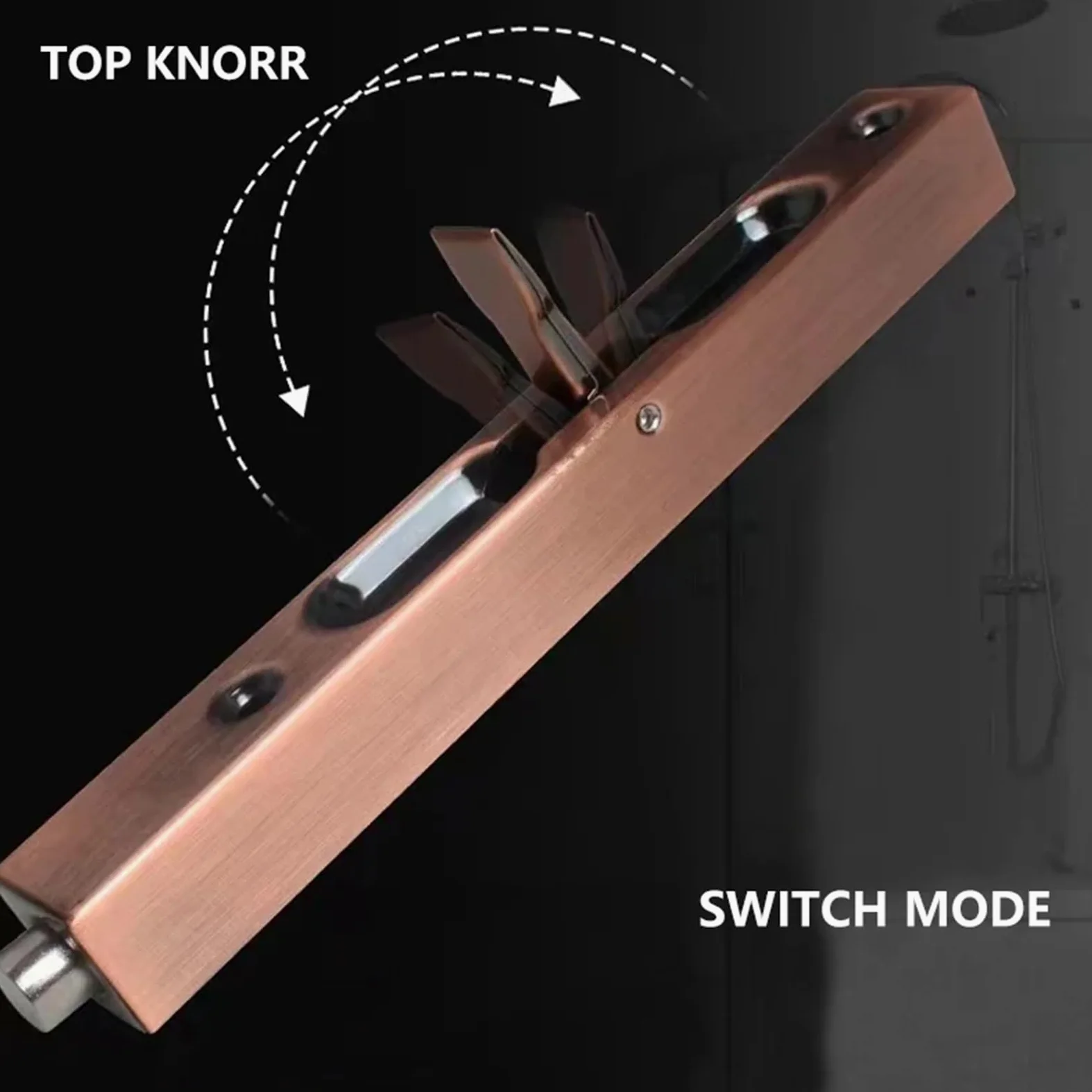 Chiavistello per porta in acciaio inox 304, a scomparsa, serratura scorrevole, a prova di polvere, per bagno (10 rosso antico)