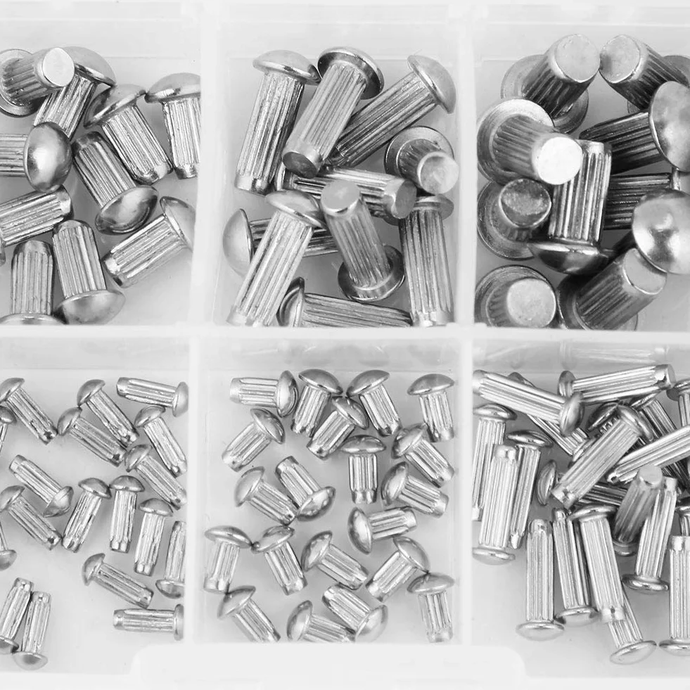 Kit rivetti solidi in acciaio inossidabile M2-M5 160 pezzi testa tonda zigrinato con contenitore