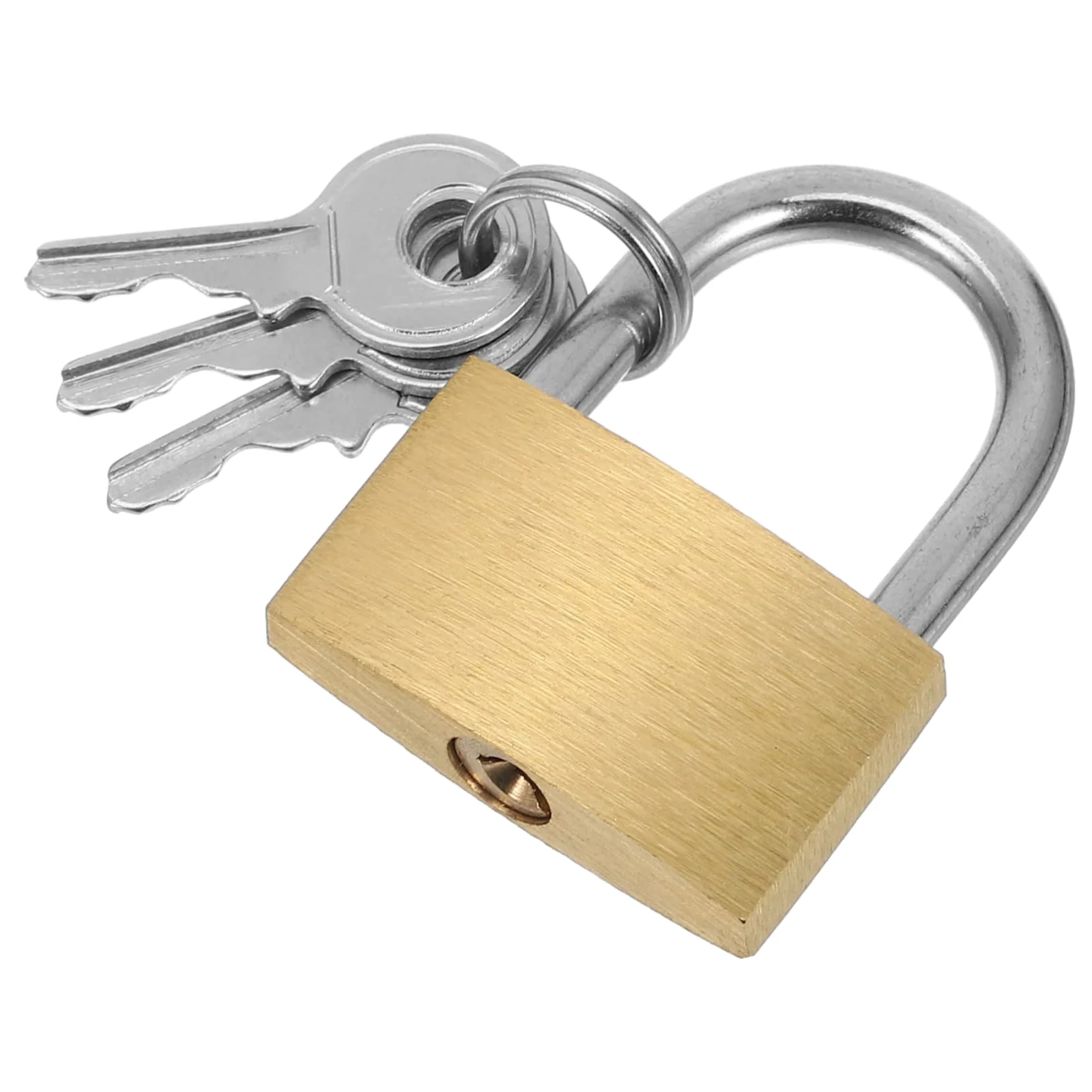 12pezzi Padlock Per Armadietti Stoccaggio e Recinzioni Serrature Chiave Multifunzionale Per Casette