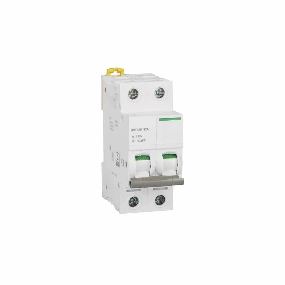 Interruttore Magnetotermico Tipo C 2P 32A, 63A, 80A, 100A, Interruttore Elettrico Miniaturizzato Magnetico Termico 125A 400VAC 50HZ 6KA(80A)