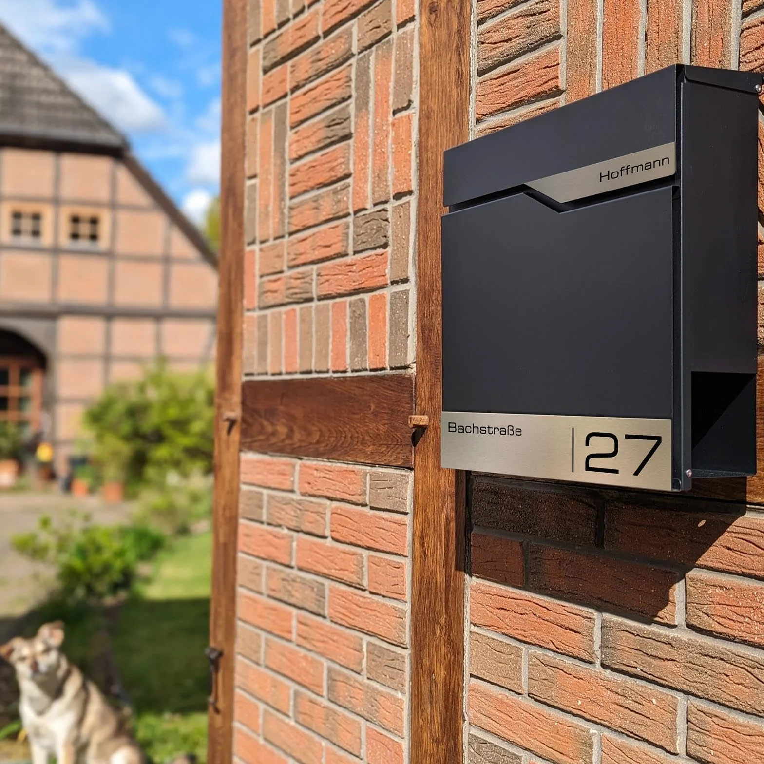 Metzler Moderna Cassetta Postale Con Portagiornale Antracite RAL 7016, Acciaio Inossidabile V2A, Da Parete