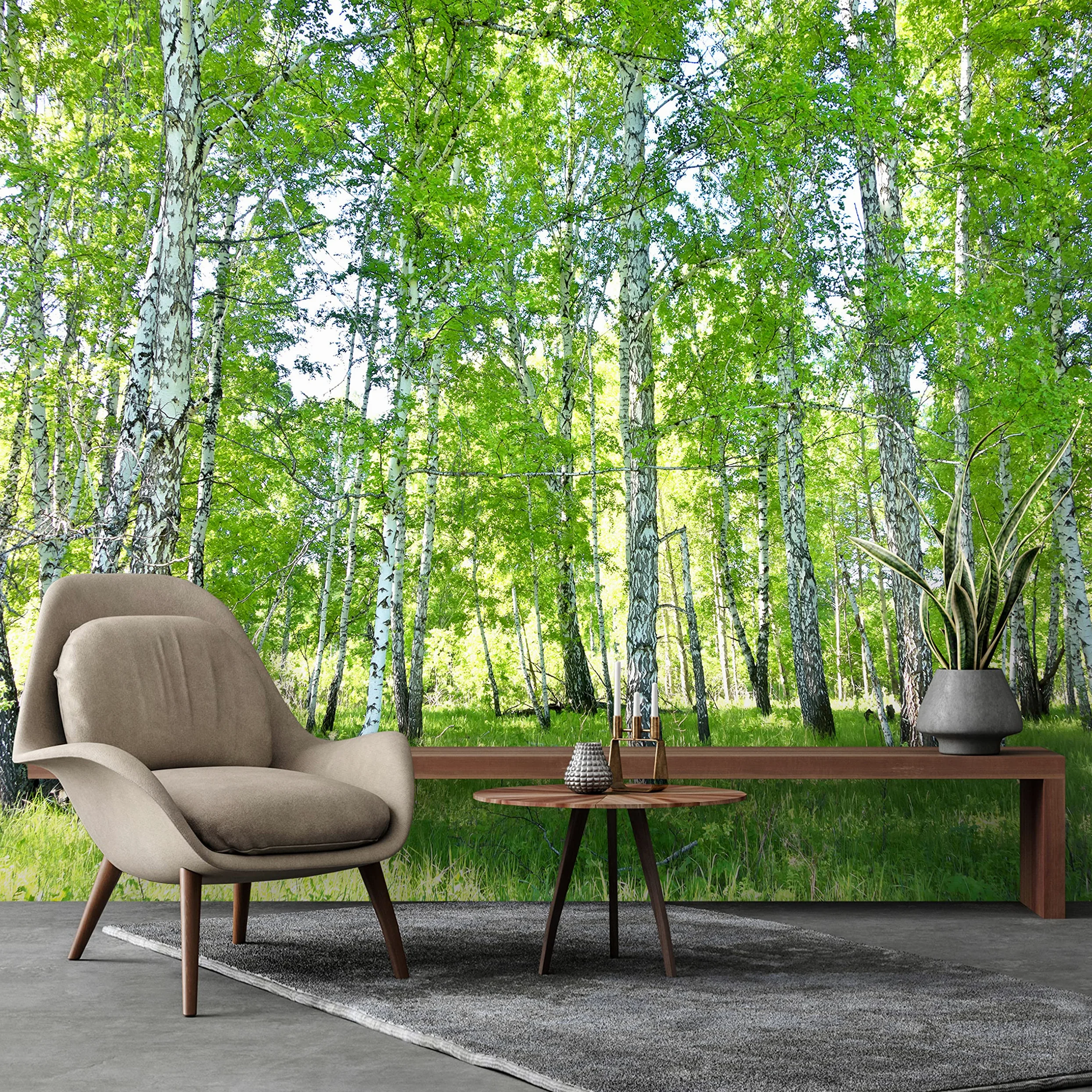 Carta Da Parati Fotografica Bosco Di Betulle Foresta Nature Alberi - Include Colla - Moderna Design Carta per Pareti Soggiorno Camera Da Letto Sala Fotomurali In Tessuto Non Tessuto TNT (416x254 cm) | Carta da parati in tessuto non tessuto di alta qualità