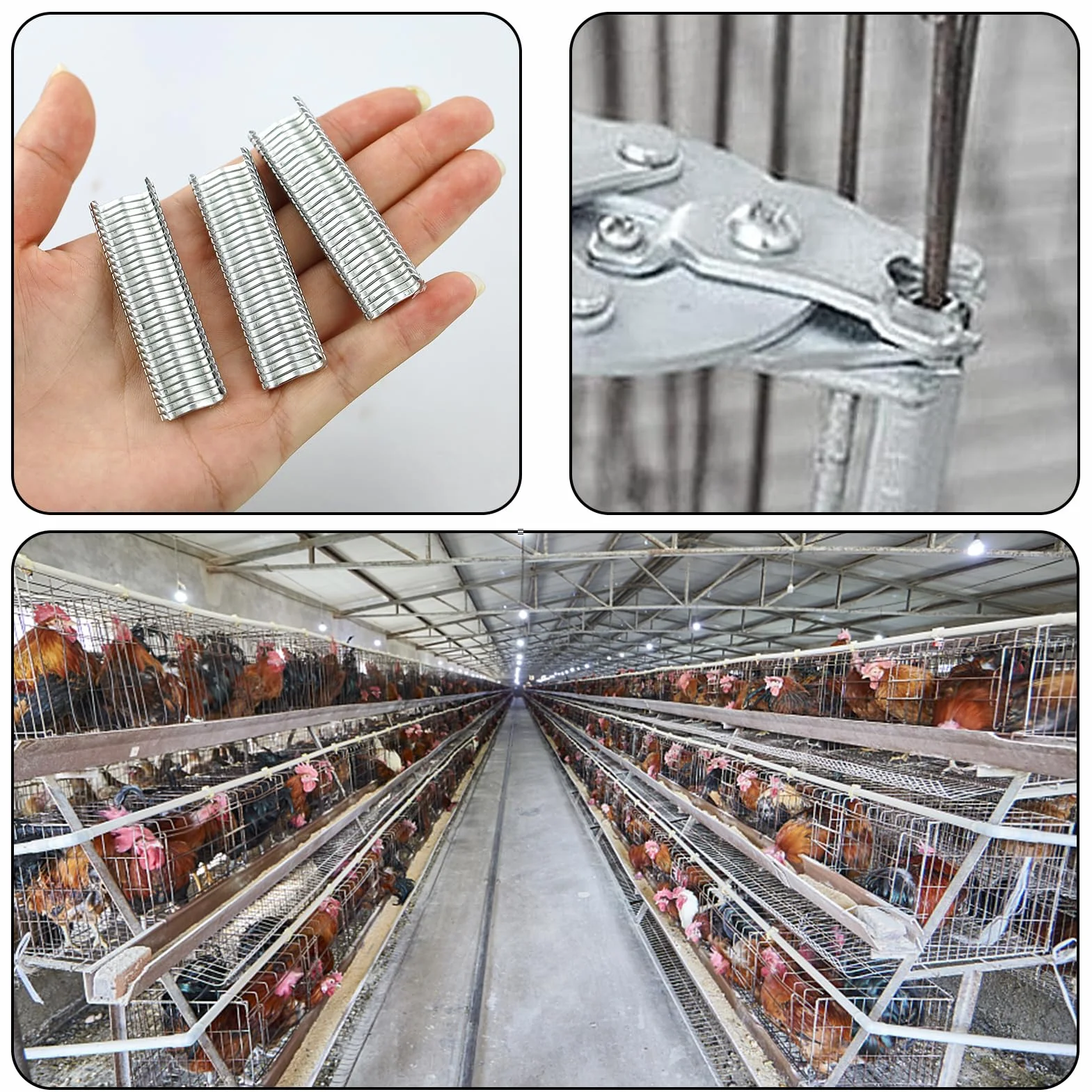 Pinza per anelli di maiale, pinza per recinzione rapida 600 clip M, strumenti manuali per gabbie animali