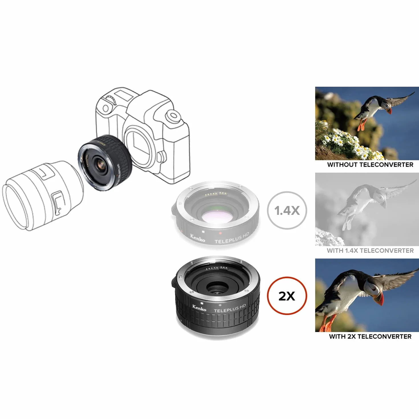 Kenko Teleconverter Teleplus HD 2x DGX per Canon EF/EF-S, prodotto in Giappone, 625231