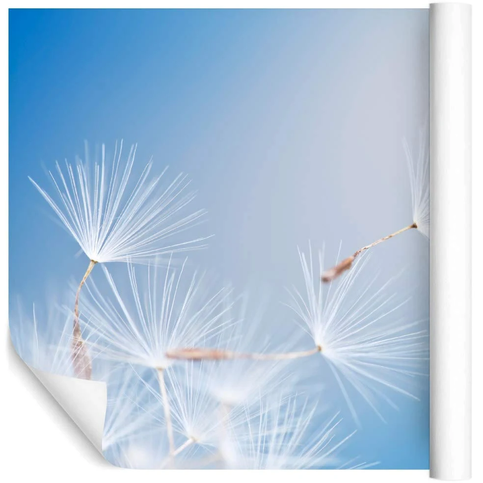 Muralo Carta da Parati 3D, Soffione, Natura - 315x210 cm | Rivestimento murale decorativo disponibile in tessuto non tessuto o autoadesivo, stampa nitida, posa facile, arredo moderno