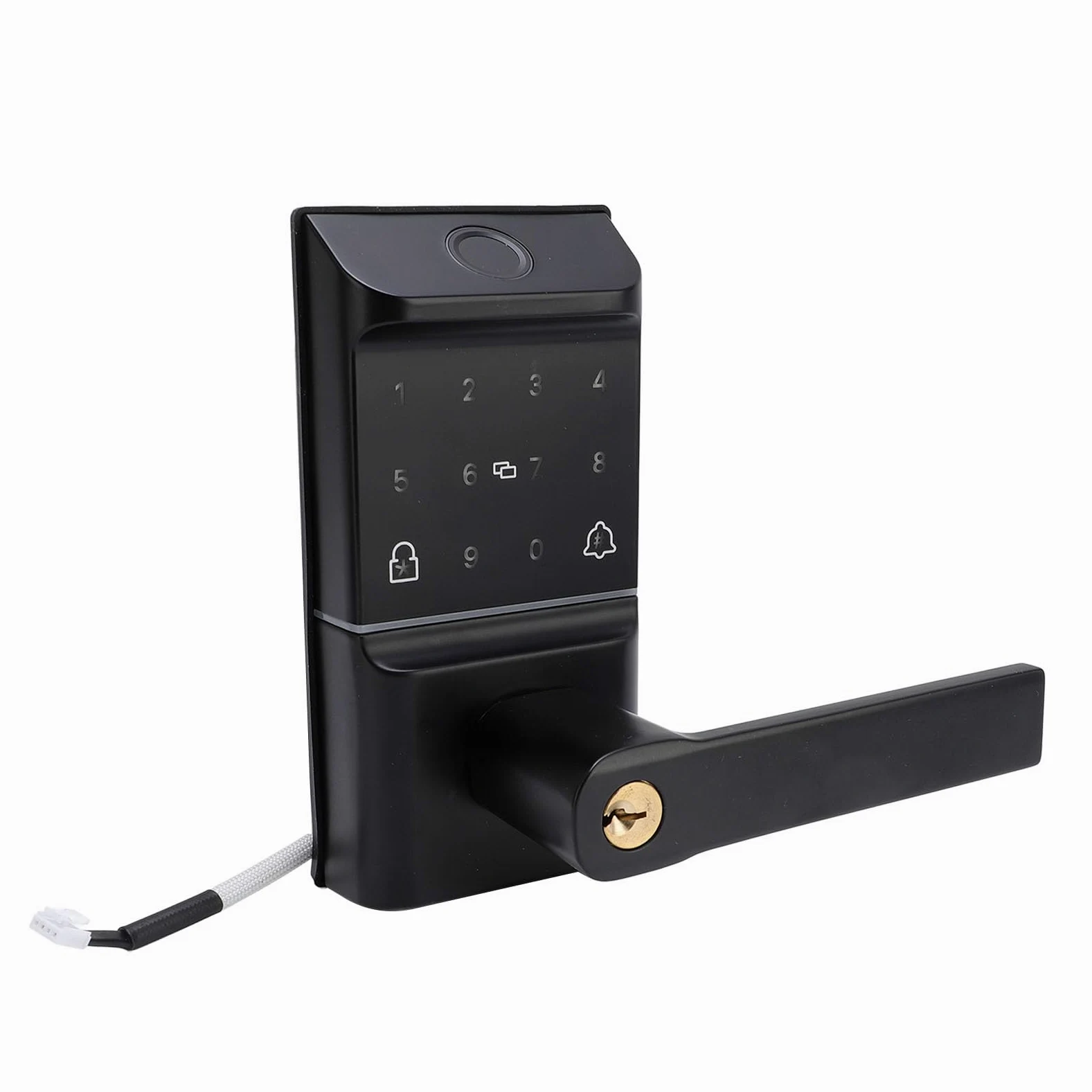 Serratura per Porta con Impronta Digitale, Ingresso Senza Chiave Intelligente WiFi 5 in 1 con Tastiera Touchscreen, Metodi di Sblocco Multipli per Appartamento