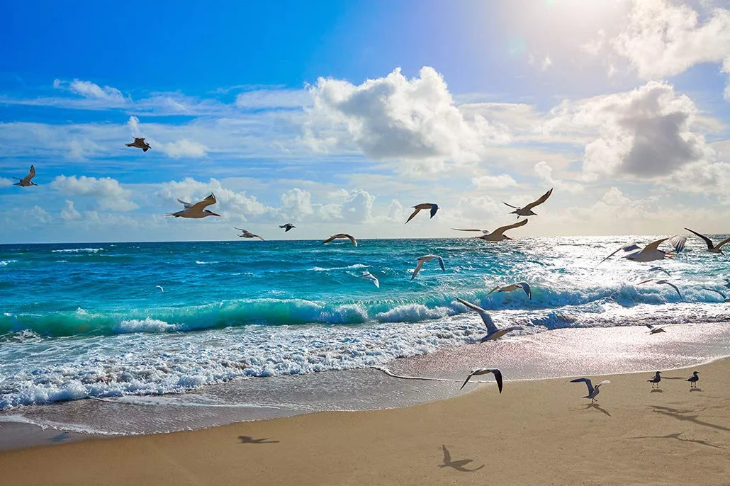 Muralo Carta da Parati Adesiva Spiaggia, Mare, Paesaggio, Onde - 460x300 cm | Fotomurale adesivo ad alta definizione, si stacca e si attacca senza colla, riposizionabile, arredo moderno per soggiorno e