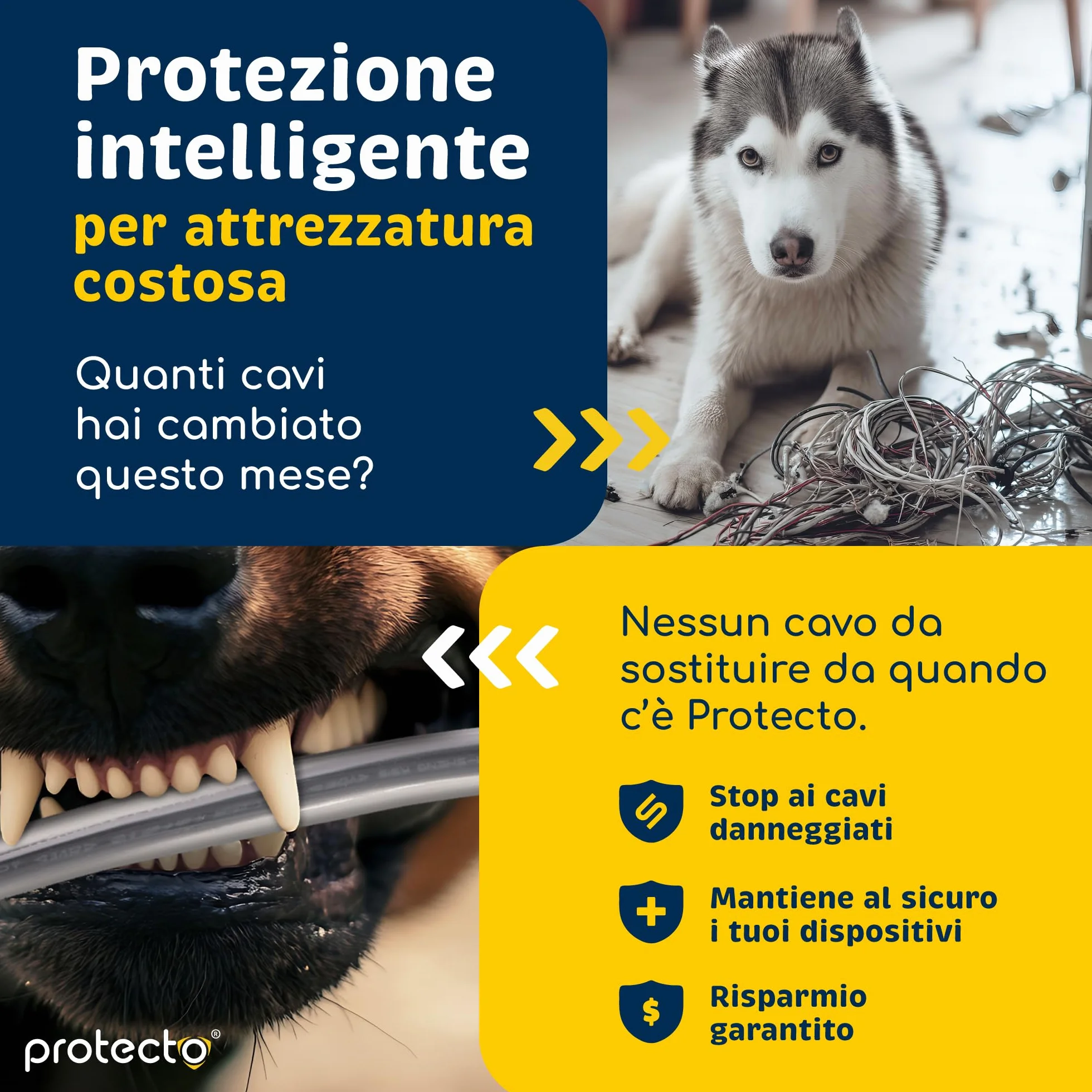 PROTECTO Guaine per Cavi Animali Domestici 3m Ø 9mm Trasparente Anti-Morso Protezione Universale