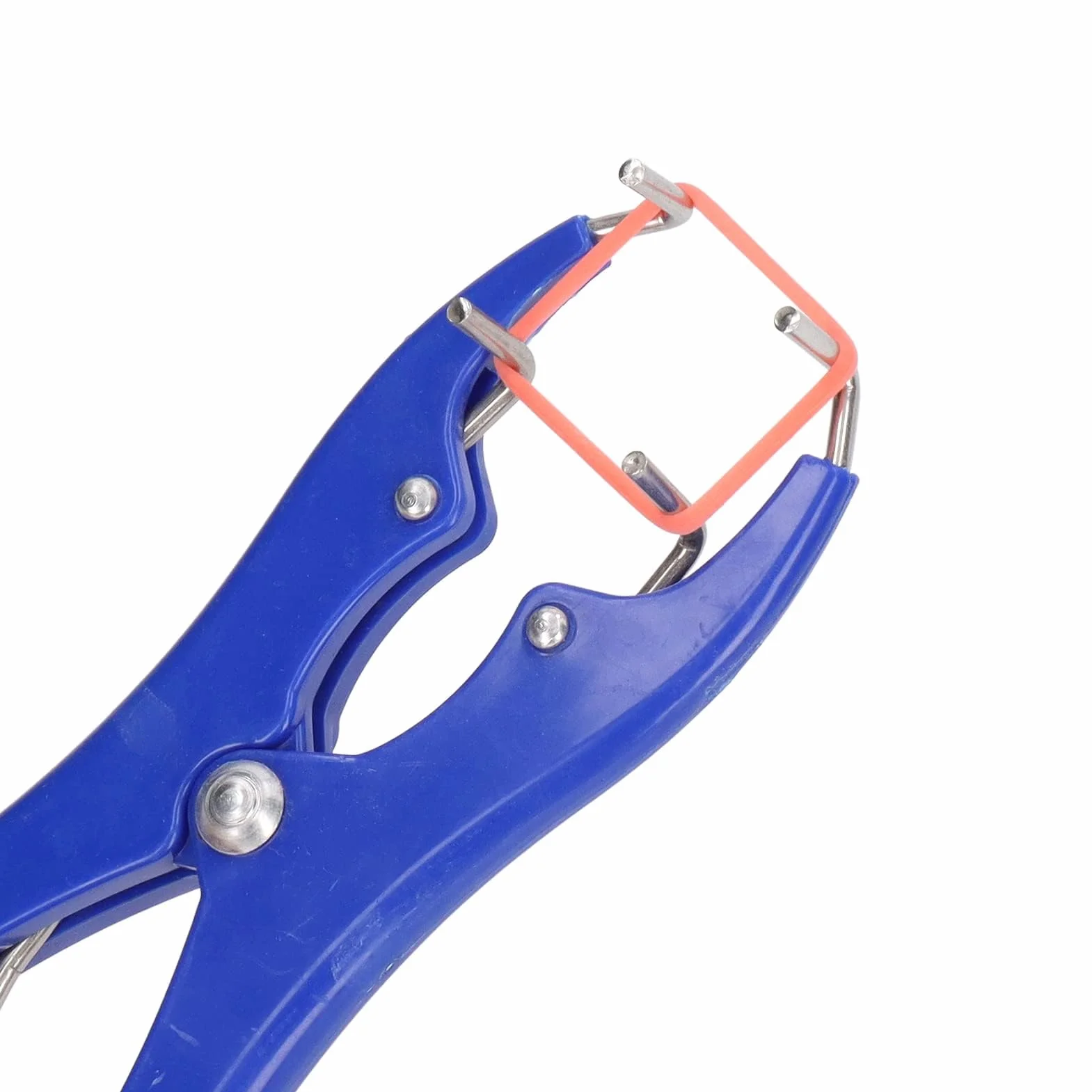 Kit Professionale per Castrazione 1 Pinza Elastrator in Plastica Durevole 100 Anelli Elastici di Gomma Rossa per Ovini Caprini Suinetti