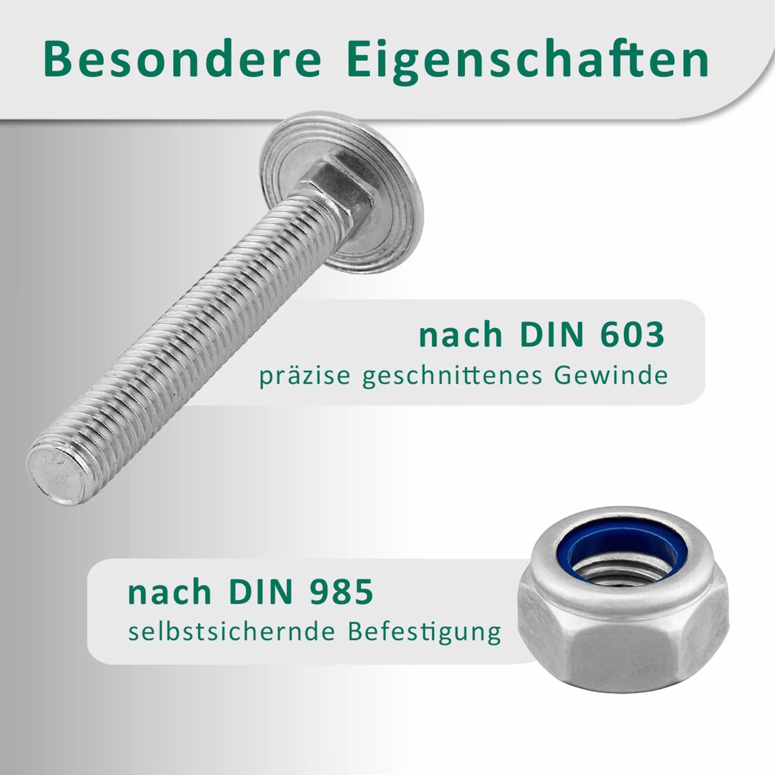 Viti a testa tonda M12 x 60 mm DIN 603 Dado di sicurezza M12 DIN 985 Acciaio inox A2/V2A 10 pezzi