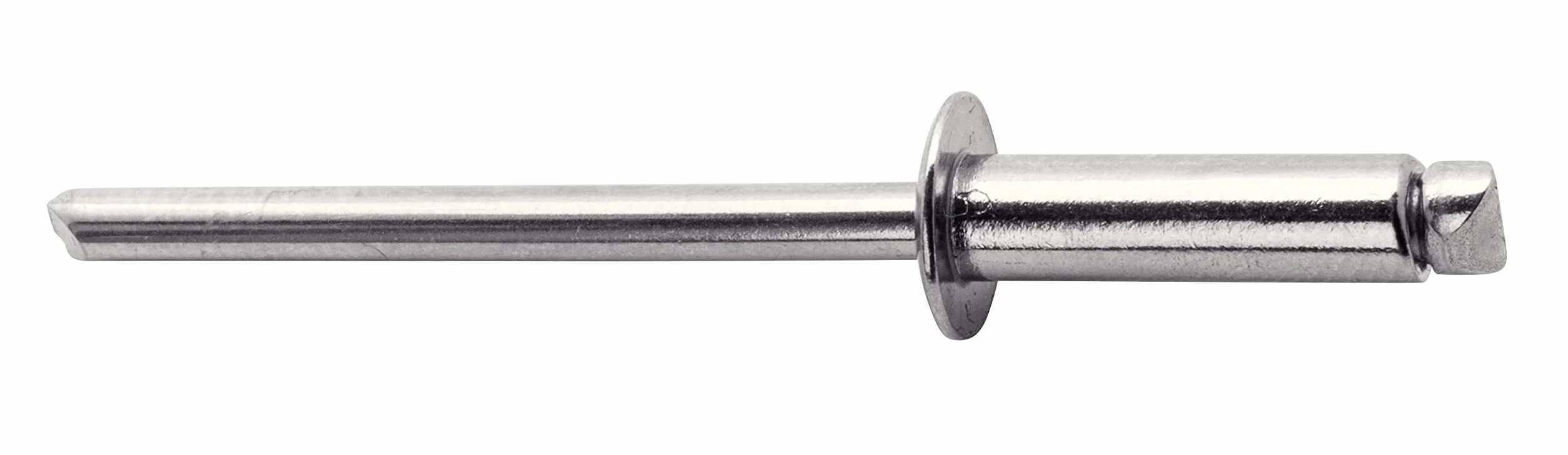 Rivetti in Acciaio Inossidabile Ø4 x 6 mm, 50 Pezzi, Scatola con Punta per Trapano