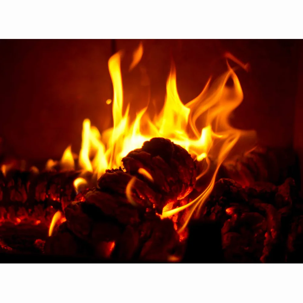 ECOMAX bricchette in legno per camino 6 kg