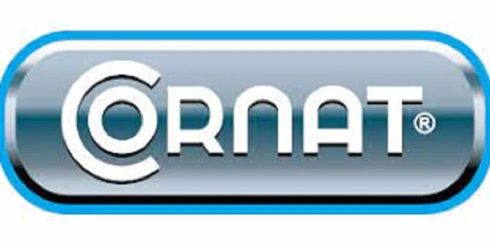 Cornat Braccio doccia a parete 35 cm cromato TECBW3308