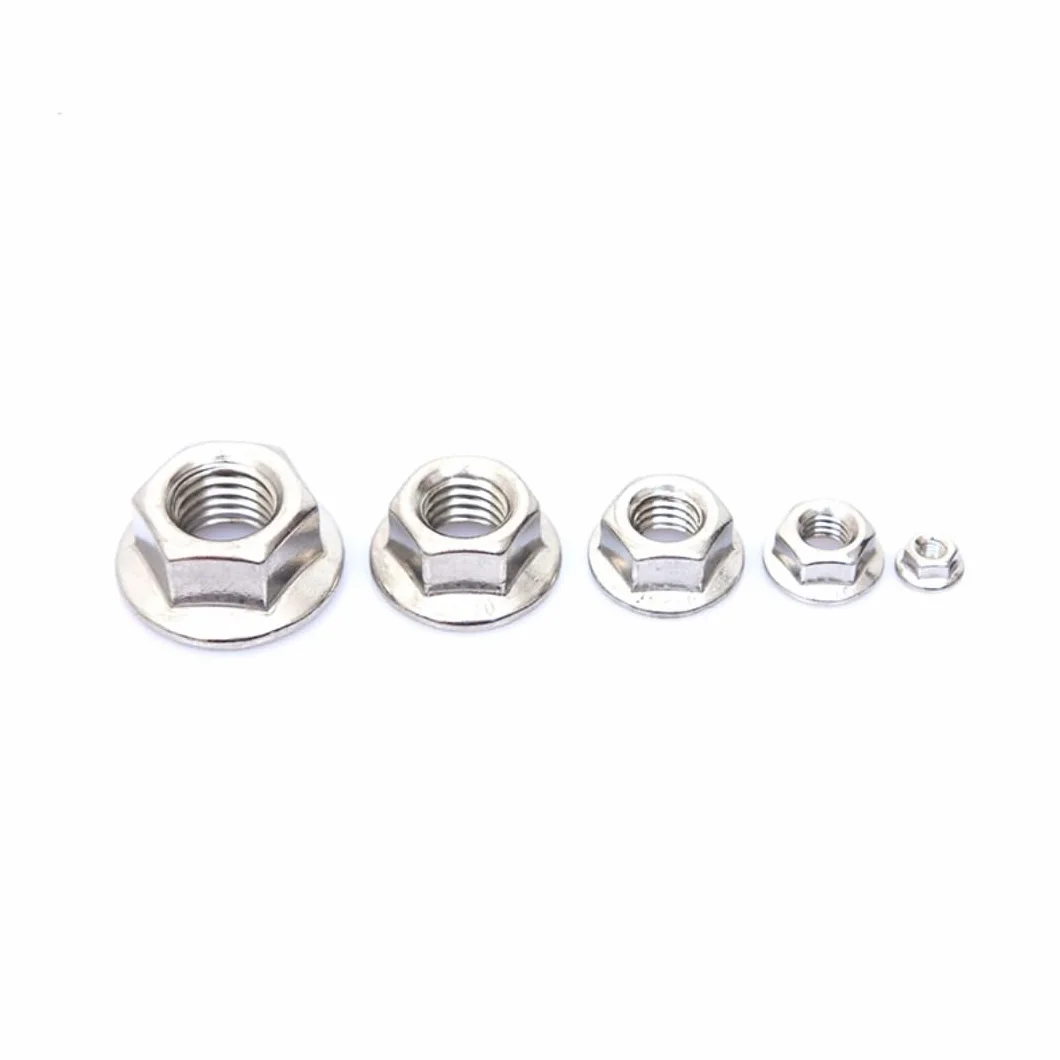 Dadi flangia esagonali seghettati in acciaio inox M12, set flangiato in nylon 10 pezzi