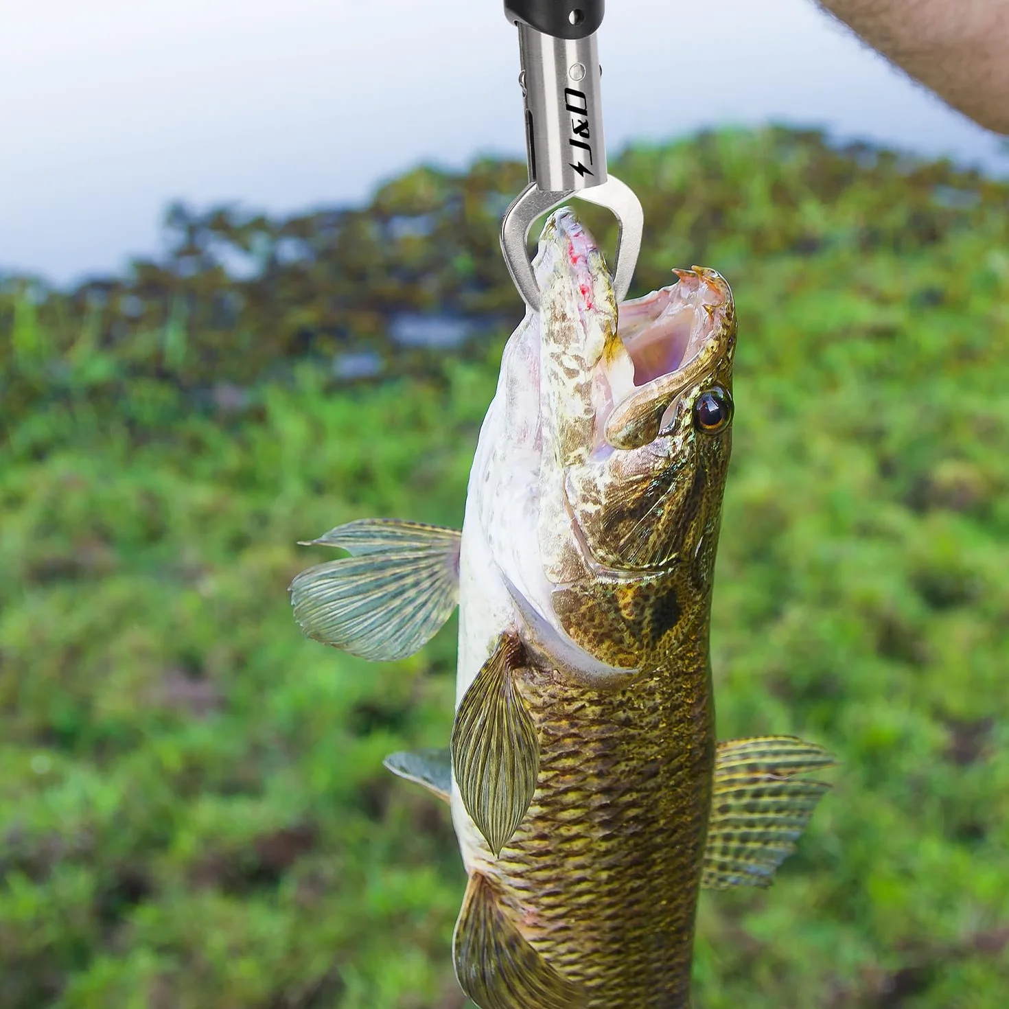 J&D Pesca Pinze Labbra Gripper Acciaio Inossidabile Multifunzionale Gancio Rimozione Strumento con Cordino