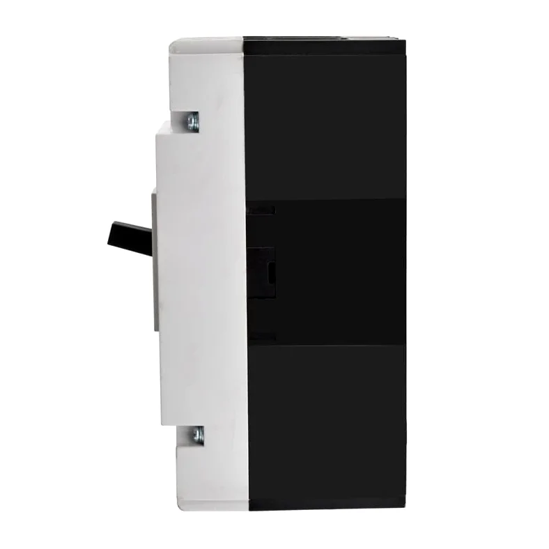 Interruttore Magnetotermico Differenziale 1p 2p PV. Corrente Continua DC 250V 550V 250A 2 Interruttore A 5 Anni Solare Automatico MCCB(2P 200A 550VDC)