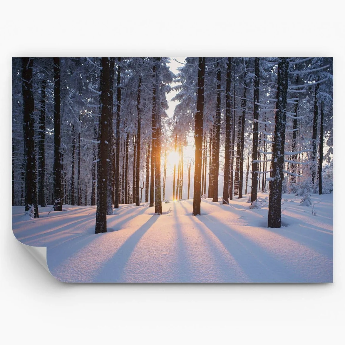 Carta da Parati Vinile in TNT 150x105 cm Paesaggi Foresta - 3629 - WF3 | Inverno Nevicare Premium Canvas Fotomurale Moderno Decorazione da Parete Murale da Parete Per Soggiorno ARTTOR