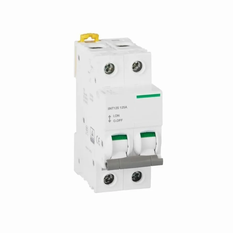 Interruttore Magnetotermico Tipo C 2P 32A, 63A, 80A, 100A, Interruttore Elettrico Miniaturizzato Magnetico Termico 125A 400VAC 50HZ 6KA(80A)