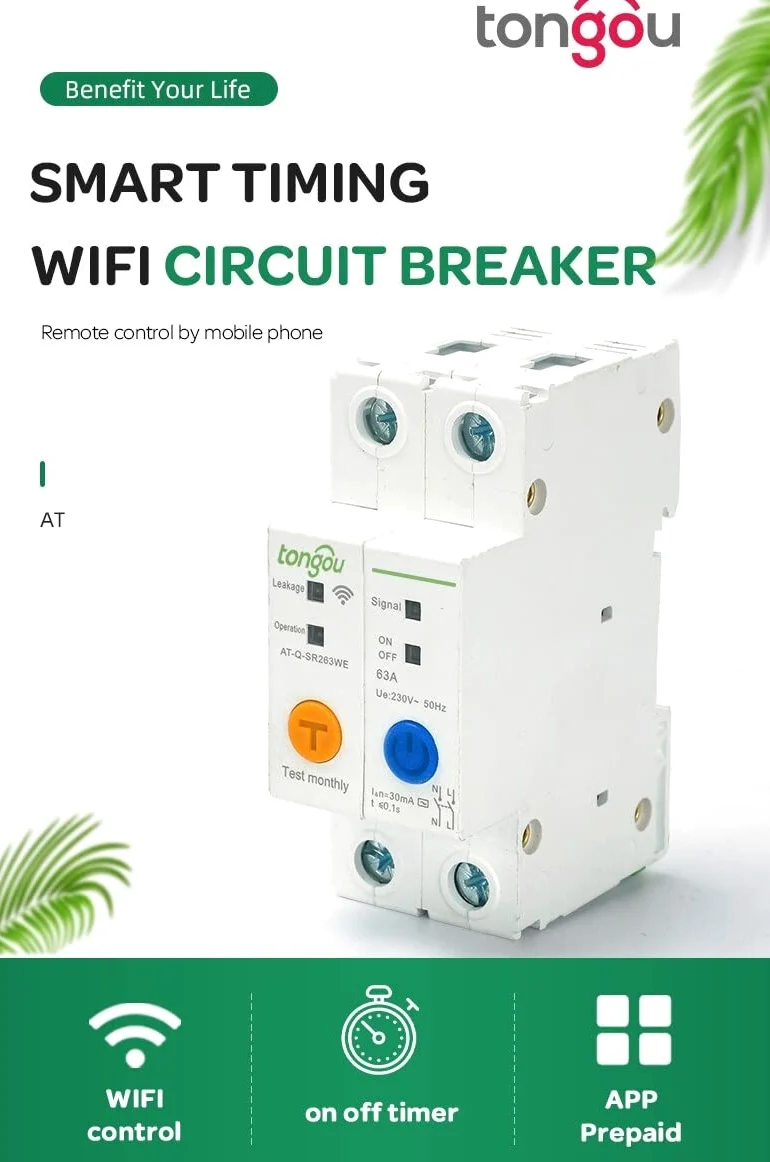 Interruttore Magnetotermico Differenziale Interruttore intelligente for interruttore automatico su guida DIN 2P 63A da Smart Home con protezione dalle perdite(16A)