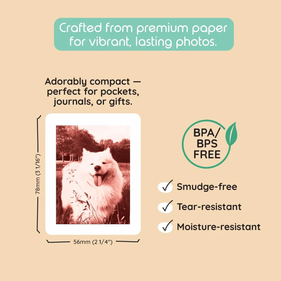 kiimento Print Pack per fotocamera a stampa istantanea P2, confezione risparmio 120 stampe, schede termiche senza inchiostro, verticali 78 × 56 mm, senza BPA e BPS, stili misti: senza tempo, oro