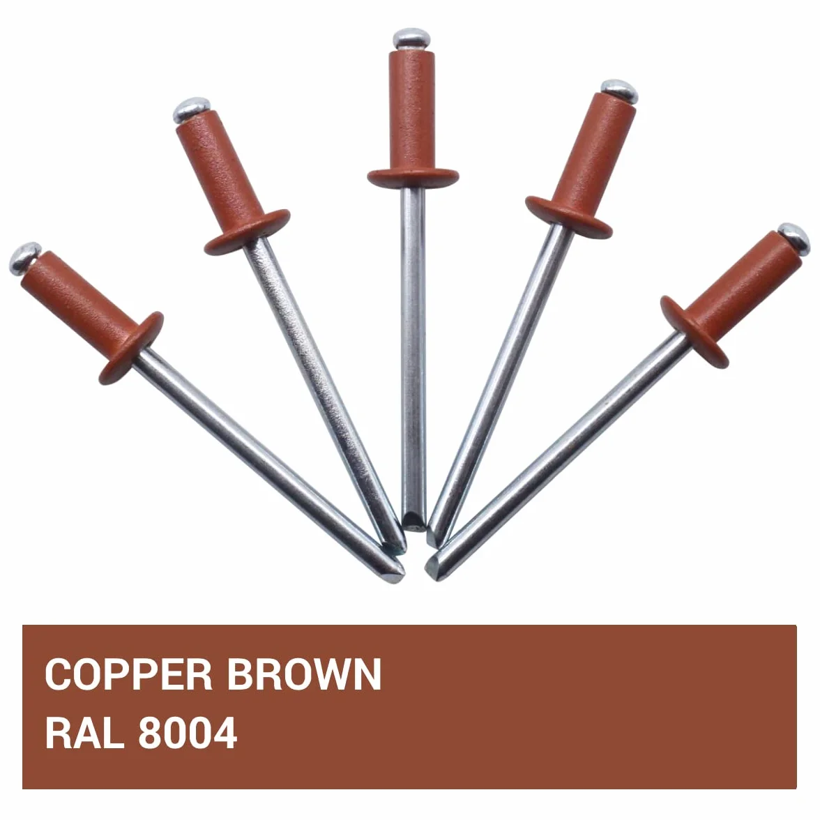SKIR'CO Rivetti ciechi verniciati 4,0 x 10 mm, Rivetti Pop alluminio, punta trapano inclusa, 100 pz