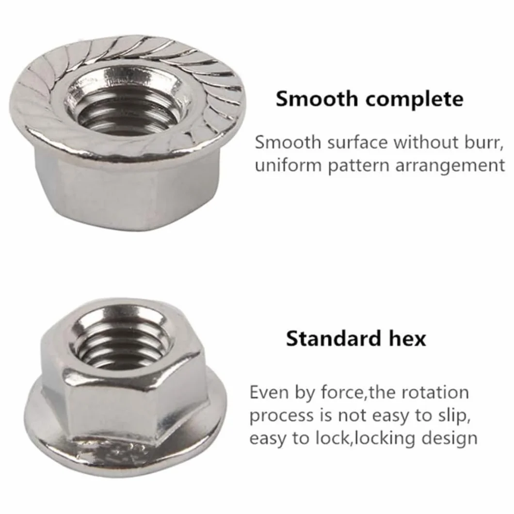 Dadi flangia esagonali seghettati in acciaio inox M12, set flangiato in nylon 10 pezzi
