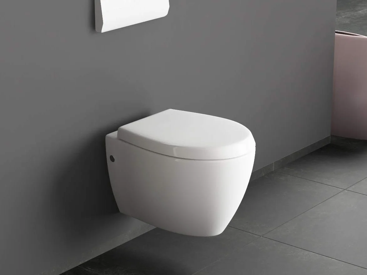 Aqua Bagno WC Taharet sospeso con funzione bidet e sciacquone profondo, ceramica, Soft Close