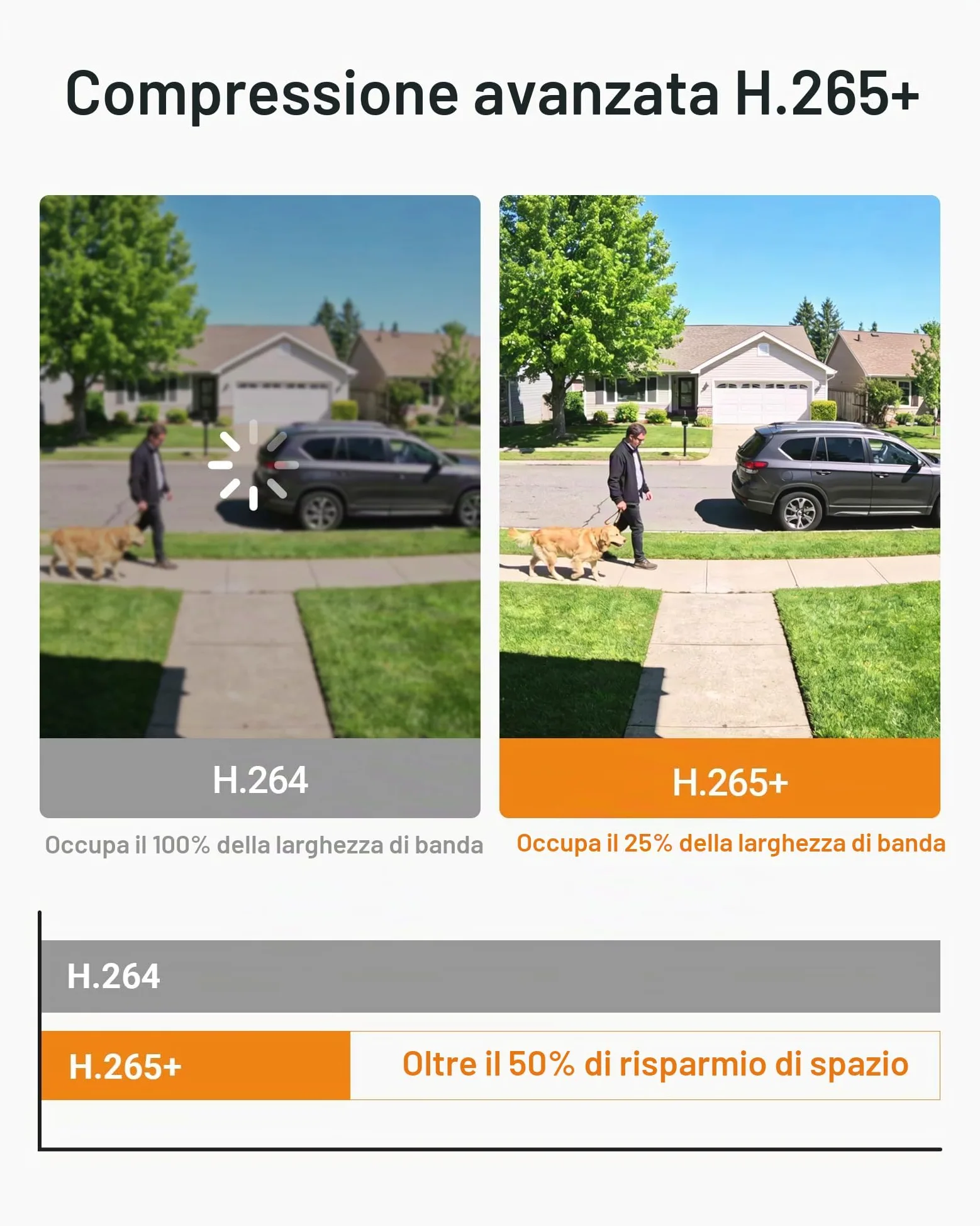 Anlapus 1080P - Videocamera di sorveglianza esterna 8 CH H.265+ DVR con 1TB HDD + 4 Bullet Camera 20M IR Visione Notturna compatibile PC/Mac