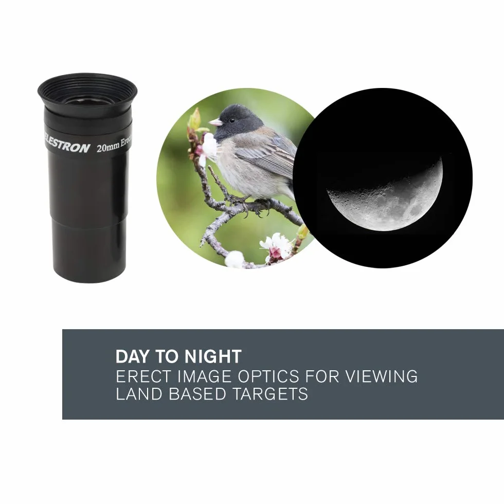 Celestron 31051 AstroMaster 130EQ Telescopio riflettore newtoniano a motore, blu scuro
