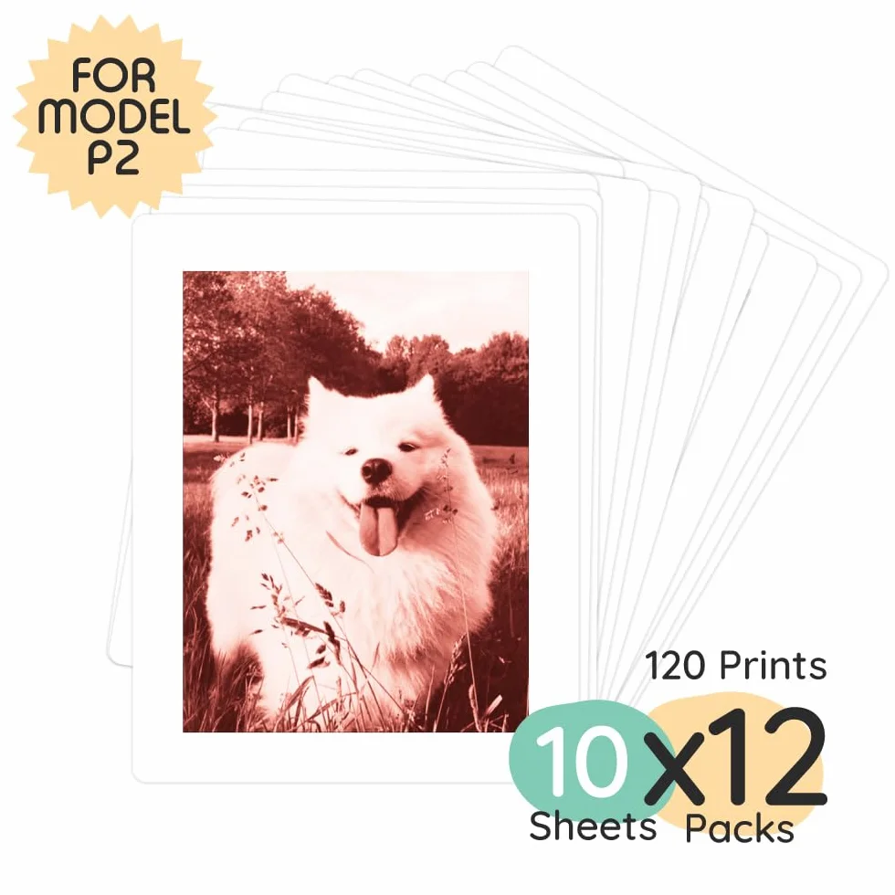 kiimento Print Pack per fotocamera a stampa istantanea P2, confezione risparmio 120 stampe, schede termiche senza inchiostro, verticali 78 × 56 mm, senza BPA e BPS, stili misti: senza tempo, oro
