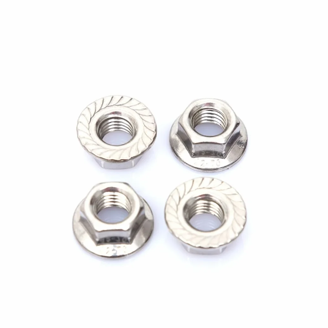 Dadi flangia esagonali seghettati in acciaio inox M12, set flangiato in nylon 10 pezzi