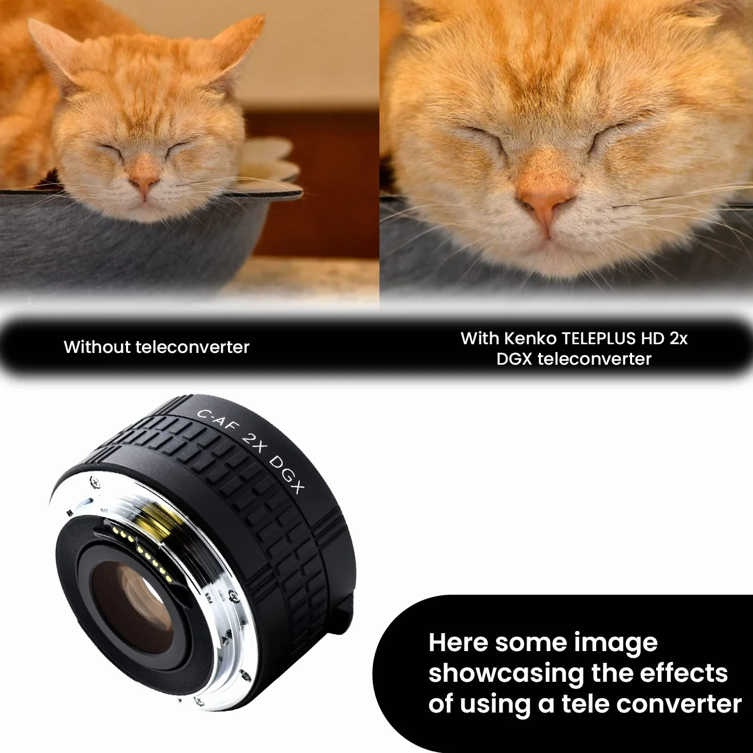 Kenko Teleconverter Teleplus HD 2x DGX per Canon EF/EF-S, prodotto in Giappone, 625231