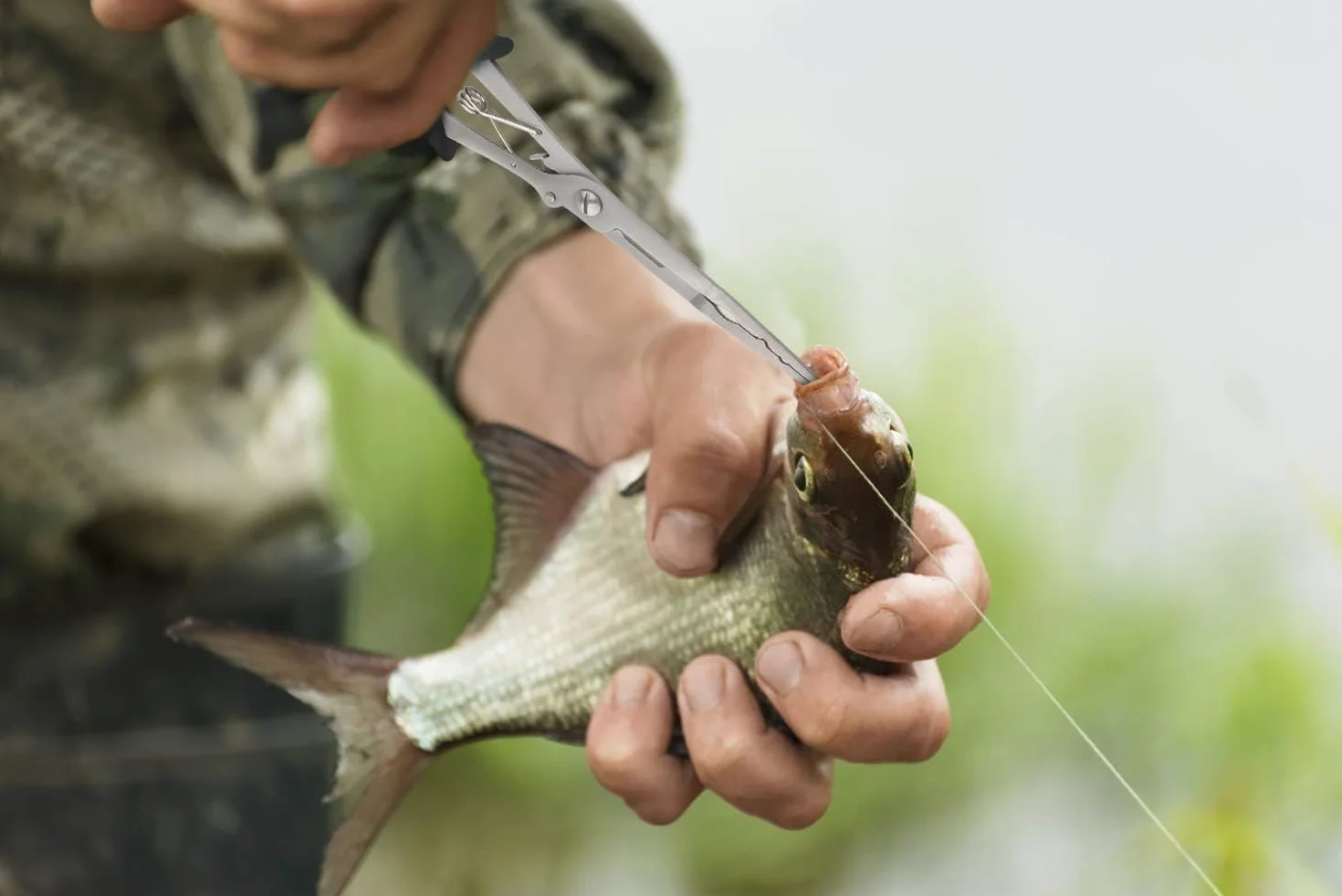 Pinze da pesca a becco lungo in acciaio inox per rimuovere ami