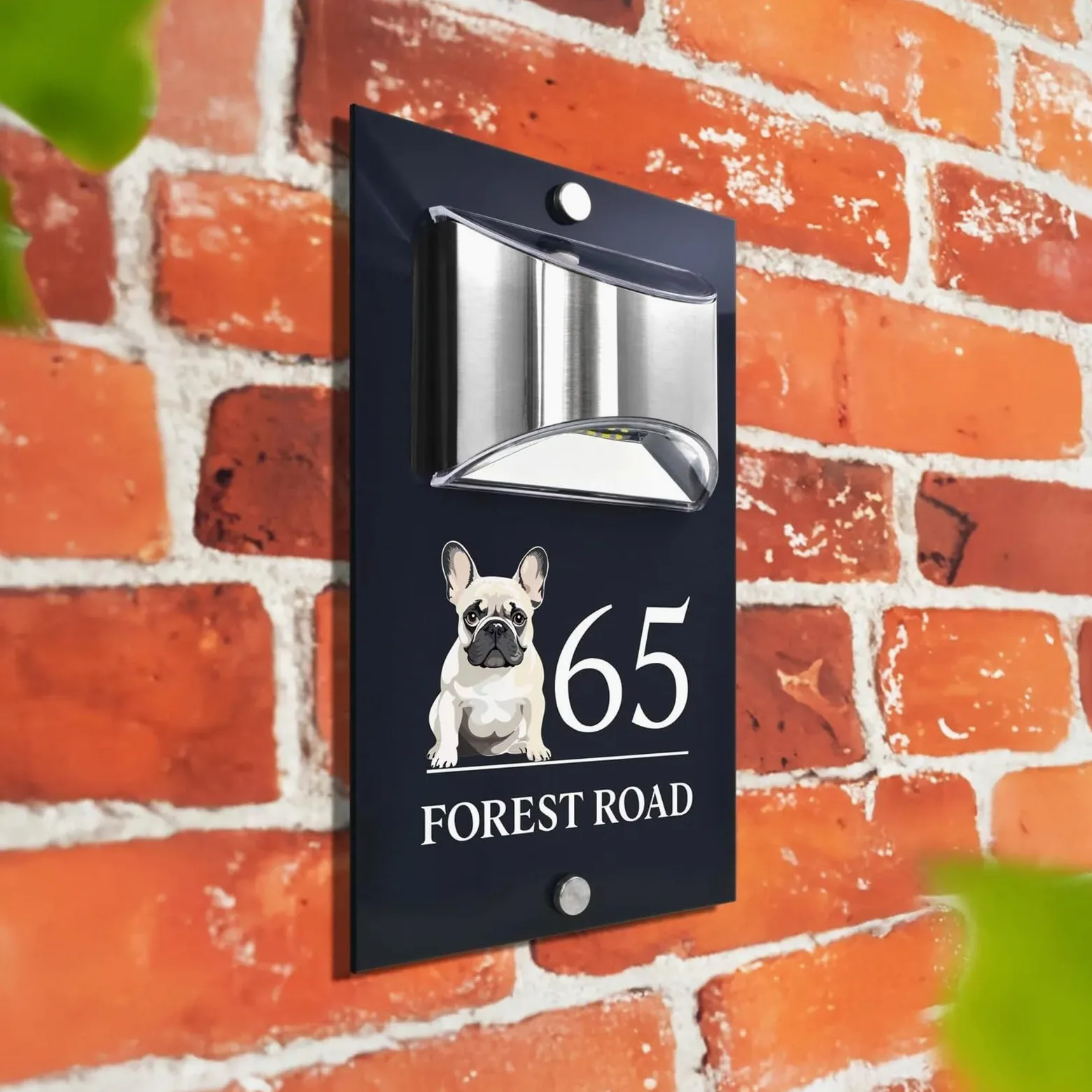 Numero civico, cartello con numero civico personalizzato con illuminazione solare, moderno, color antracite, design con cane e bulldog (stile 6,6 x 25,4 cm)
