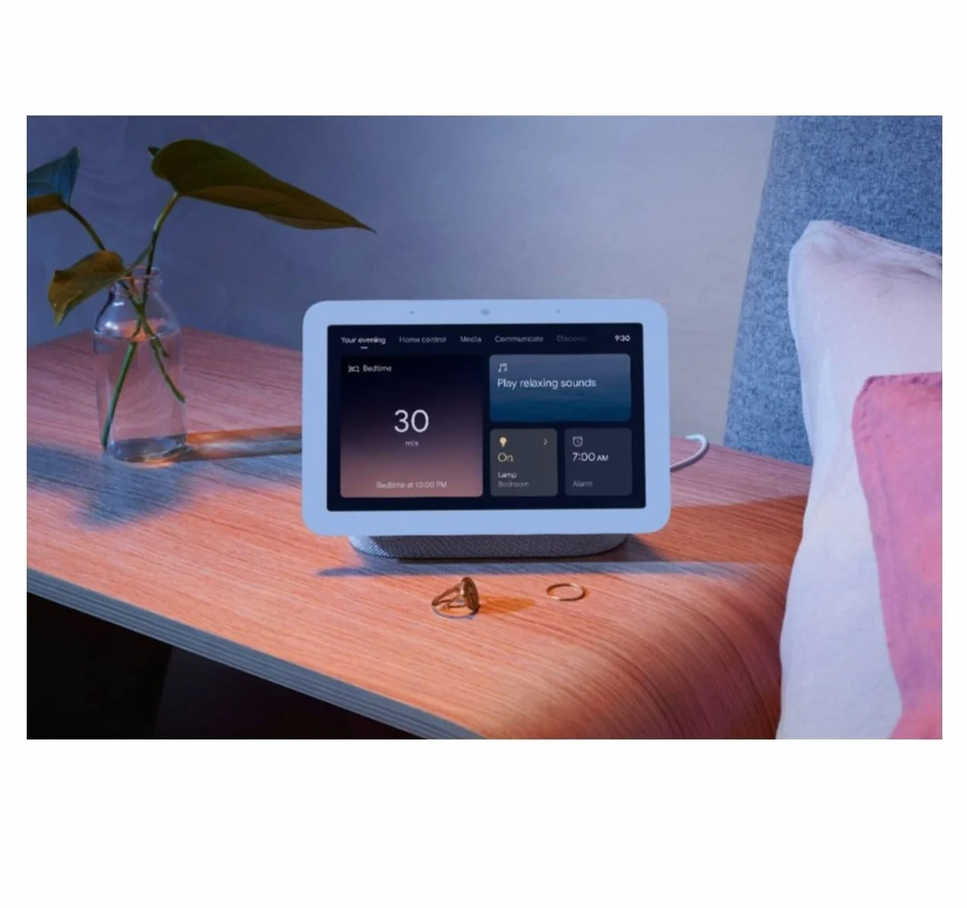 Google Assistant Vocal Nest Hub Galet
